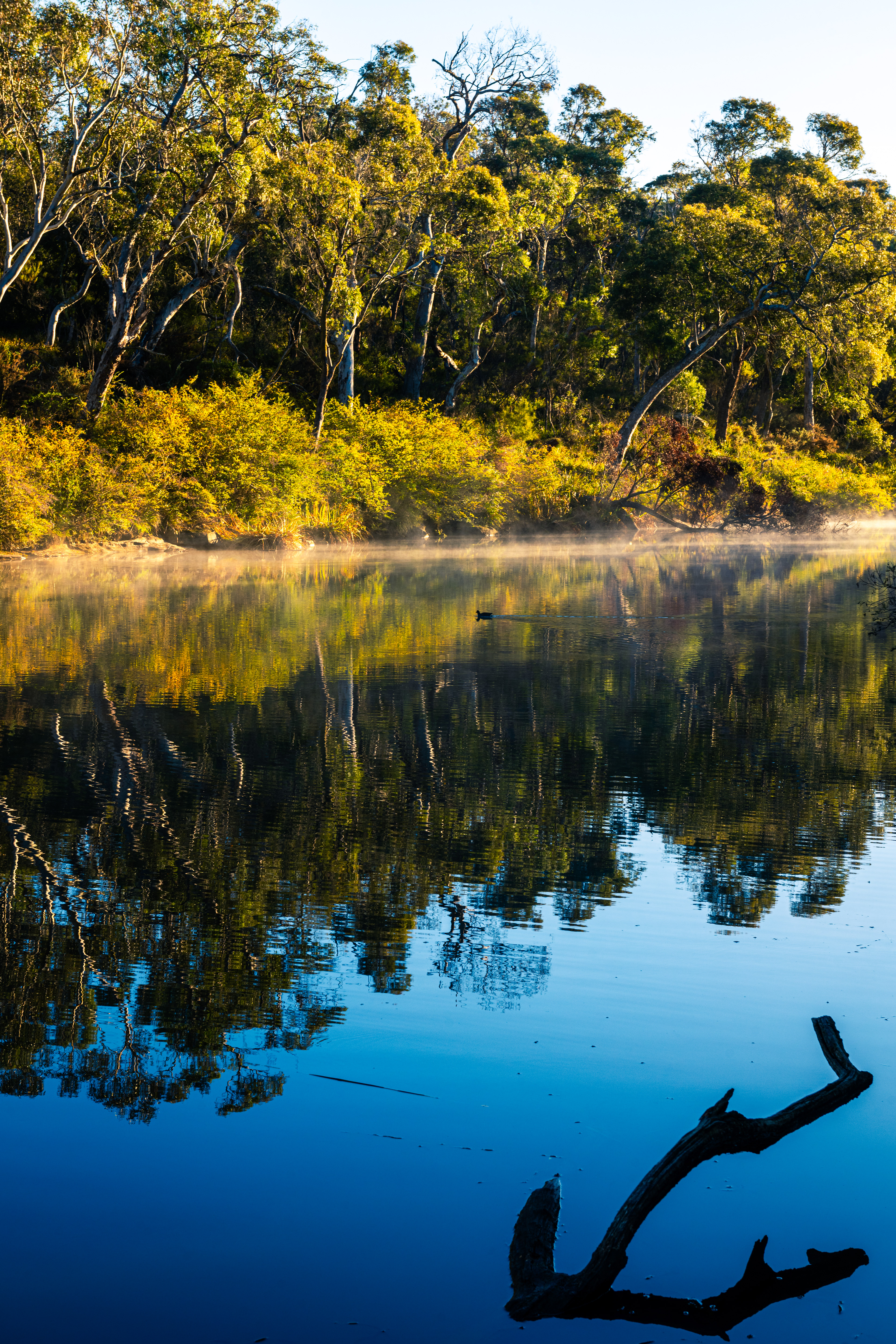 Berrima River Walk