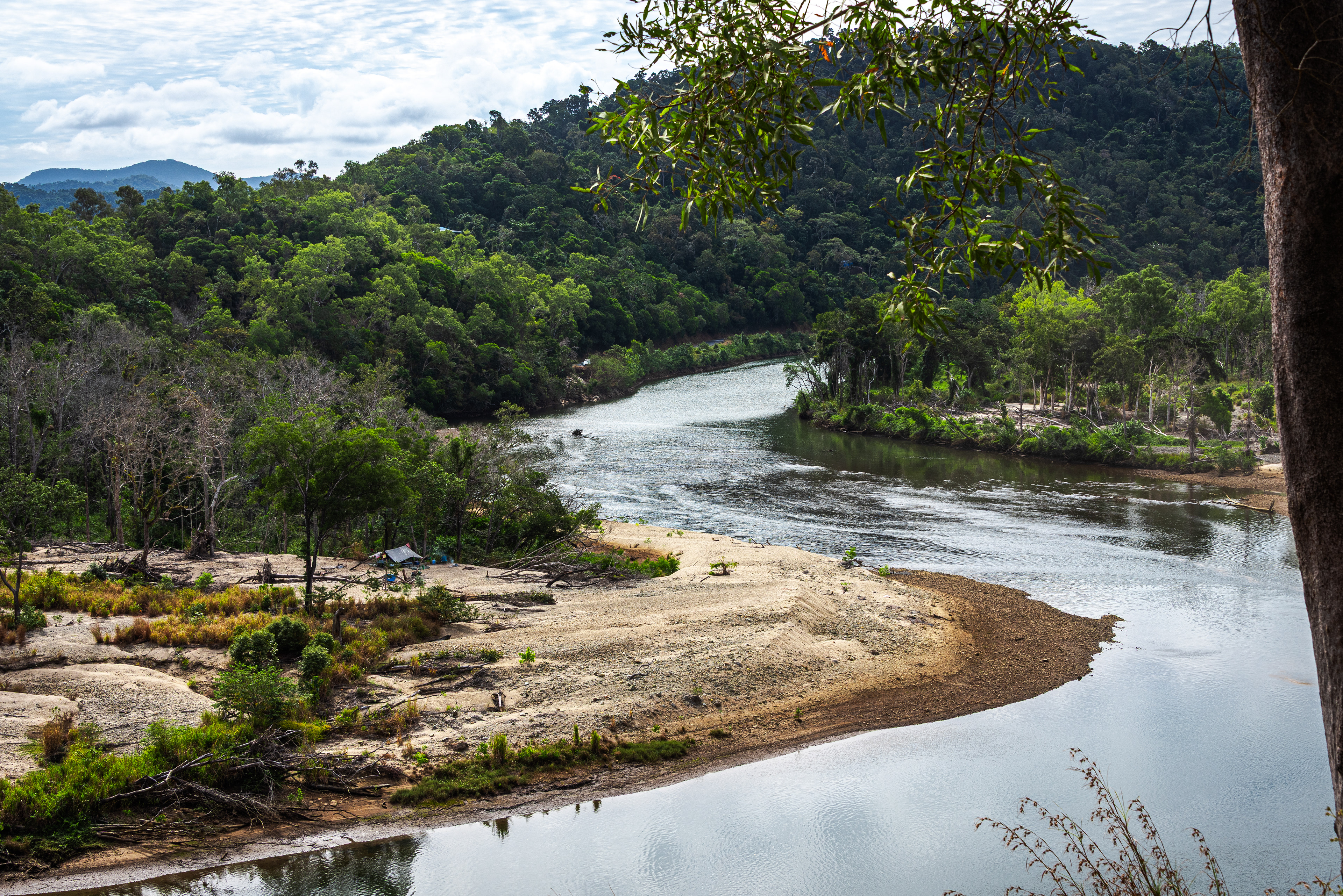Bloomfield Track, Daintree