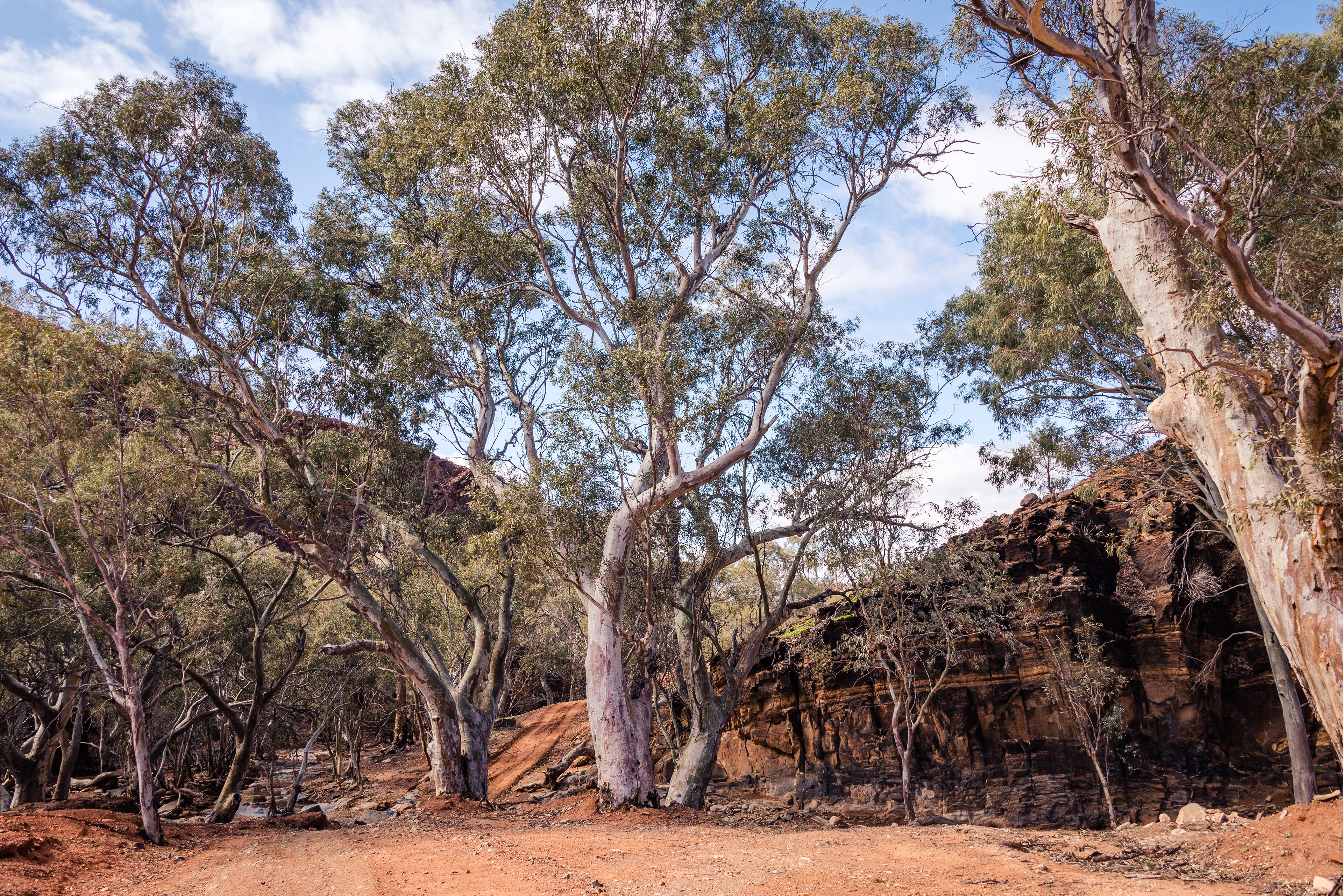 Skytrek, Willow Springs