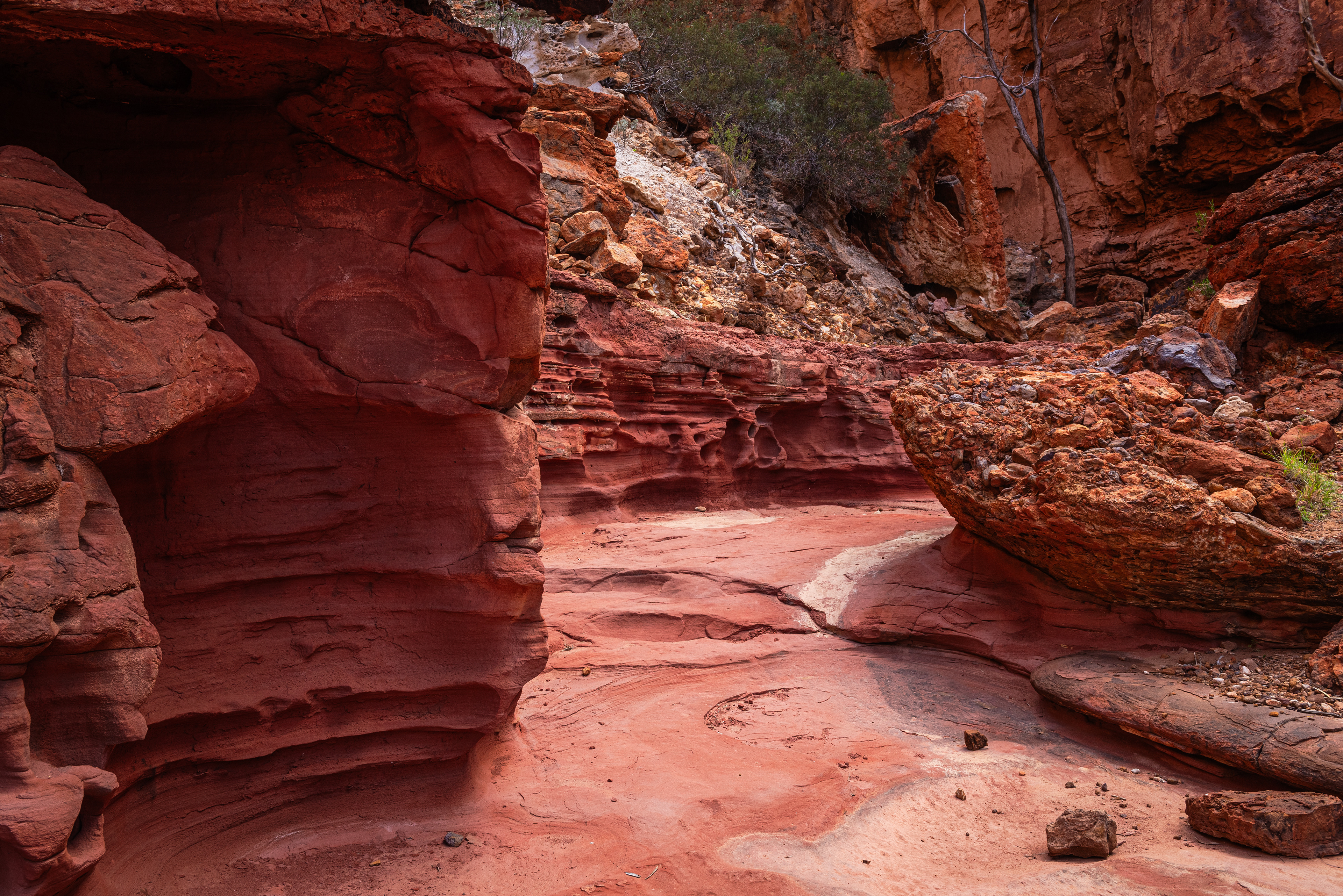 Kennedy Range National Park