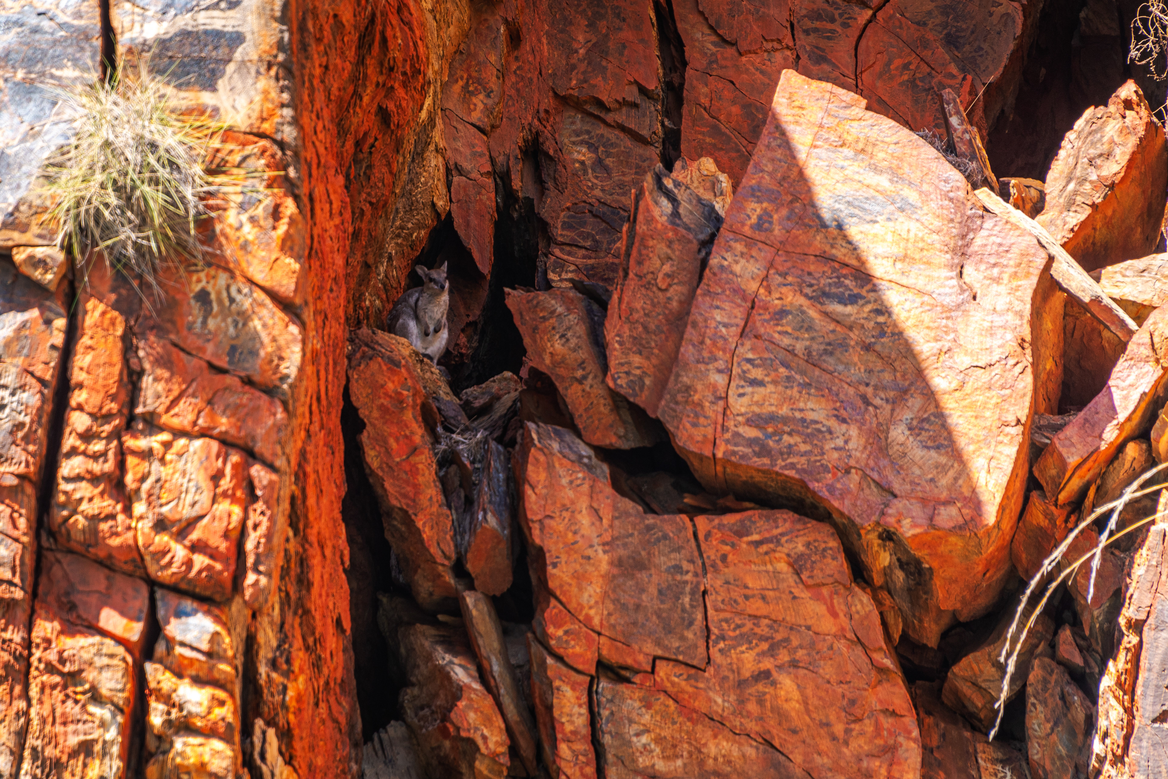 The Horizontal Falls, Kimberley