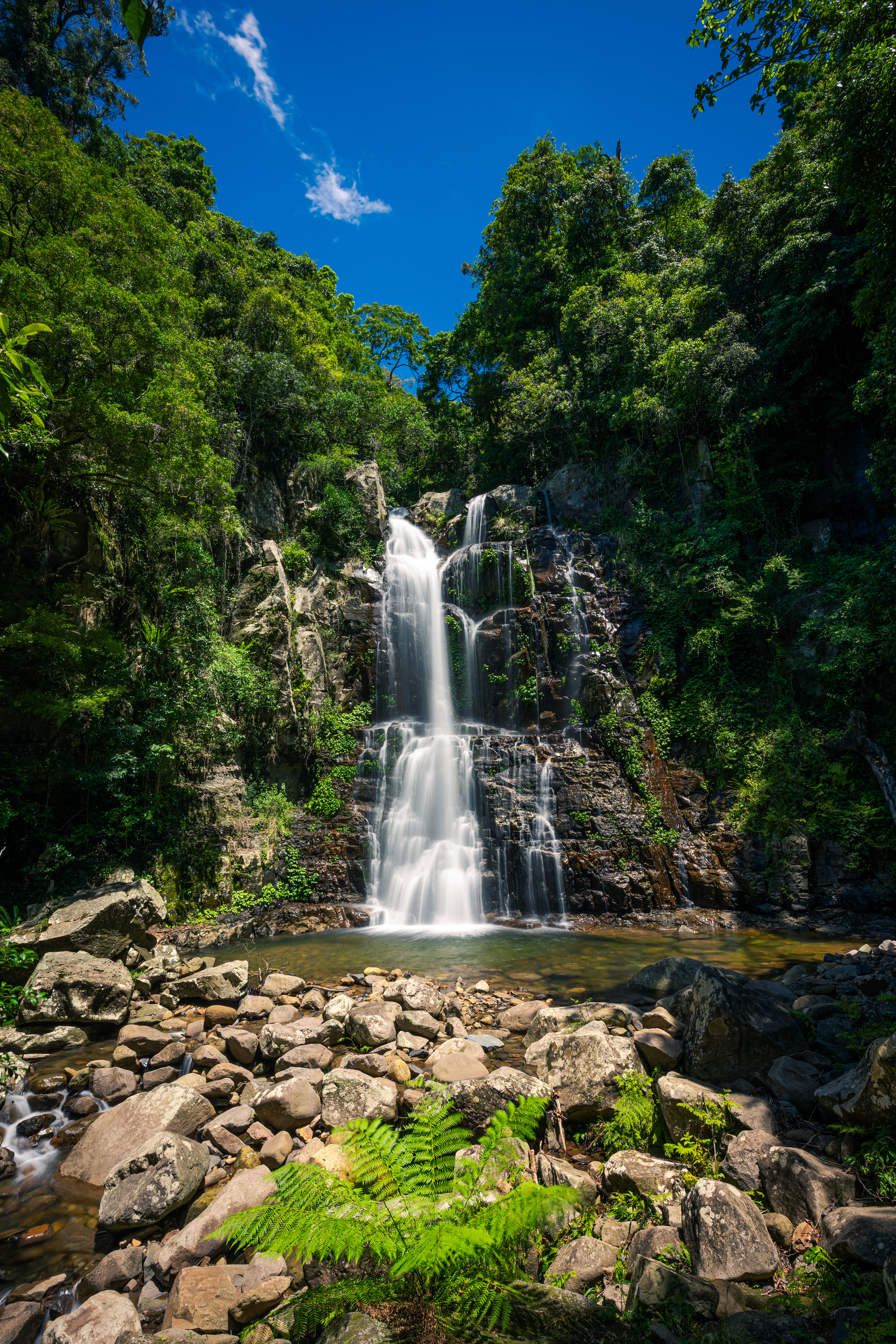 Minnamurra Falls