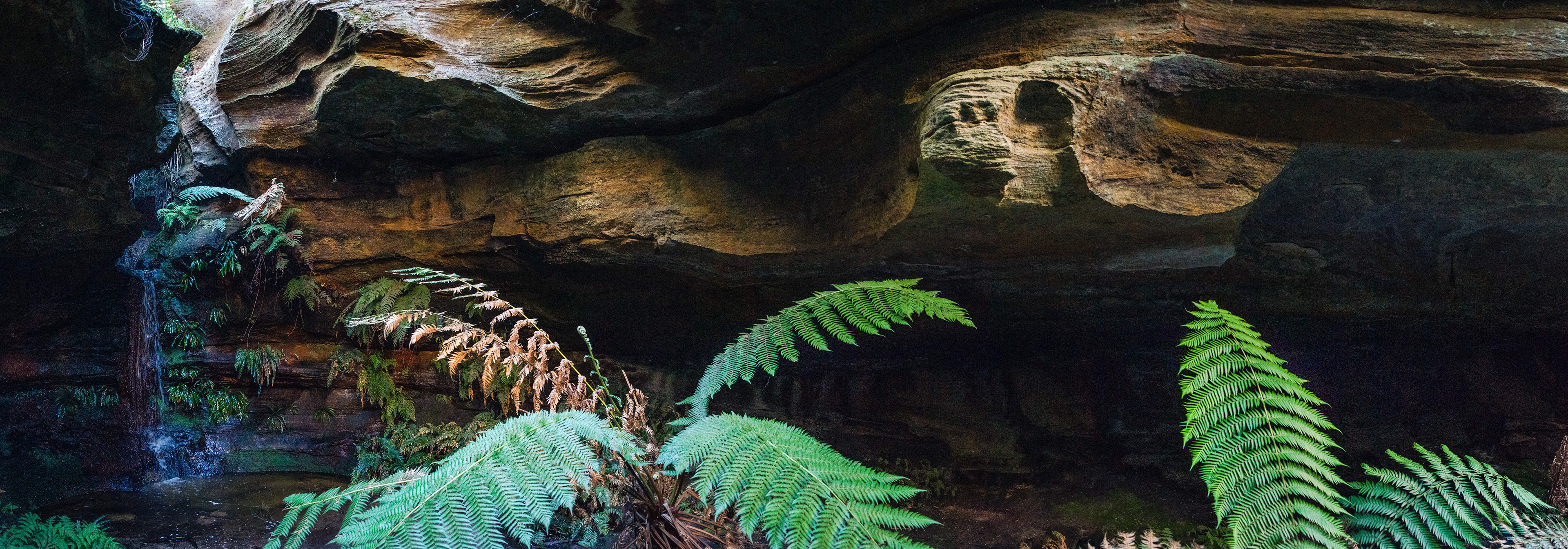 Mugii Murum-Ban, Capertee