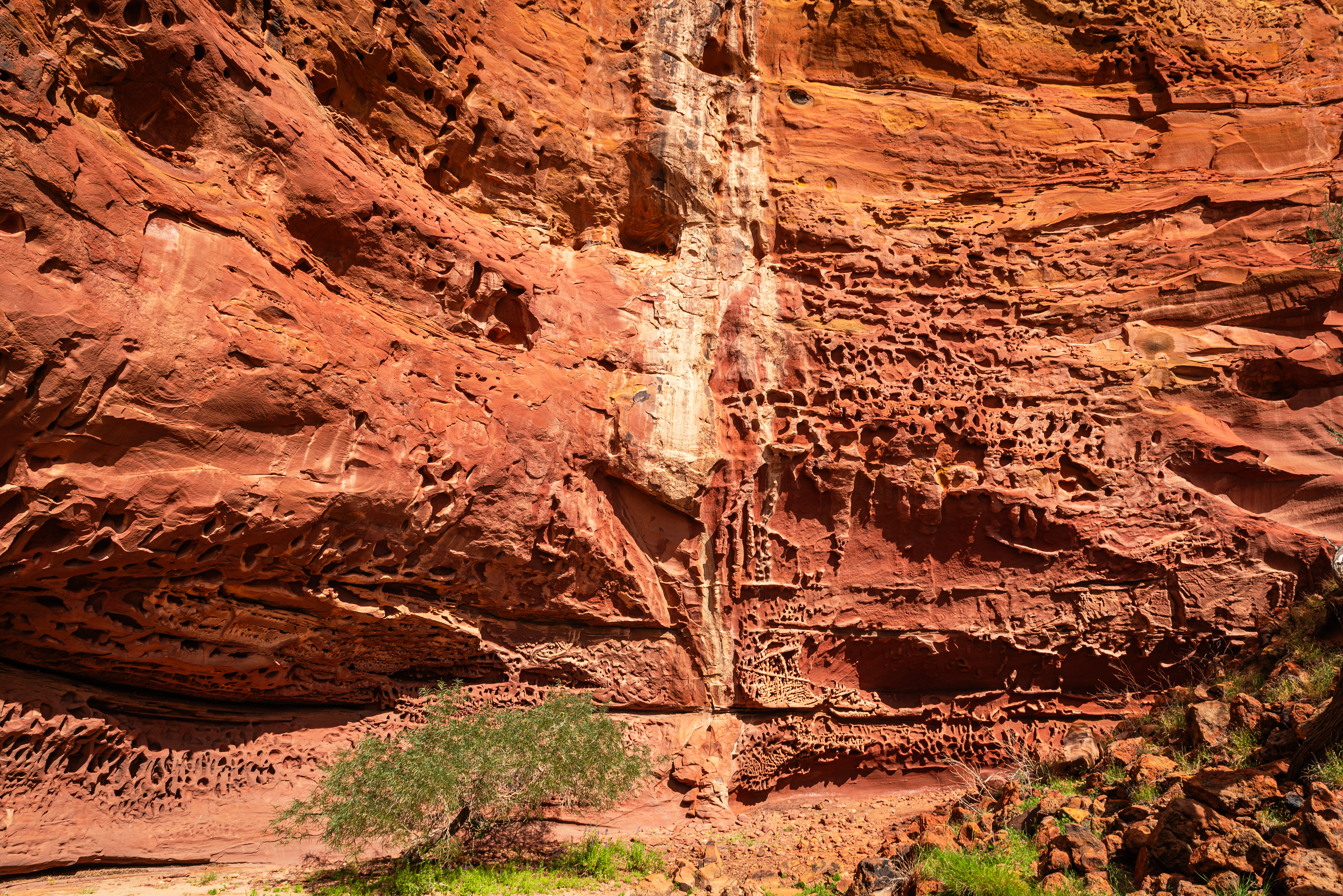 Kennedy Range National Park