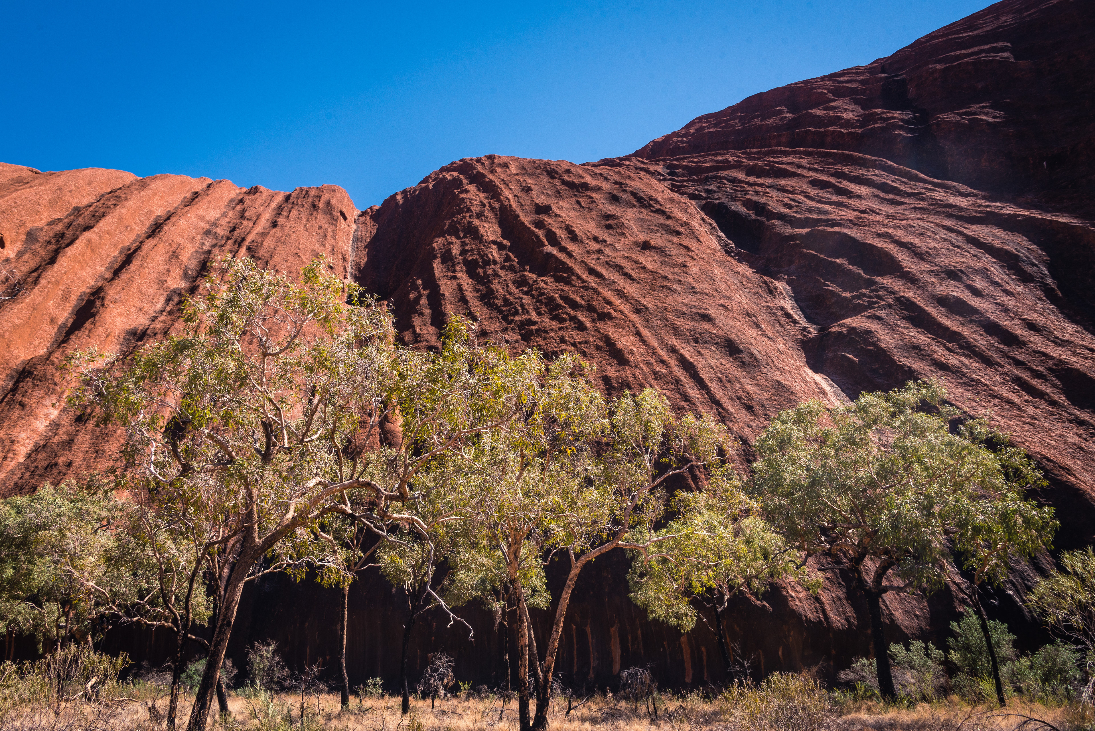 Uluru
