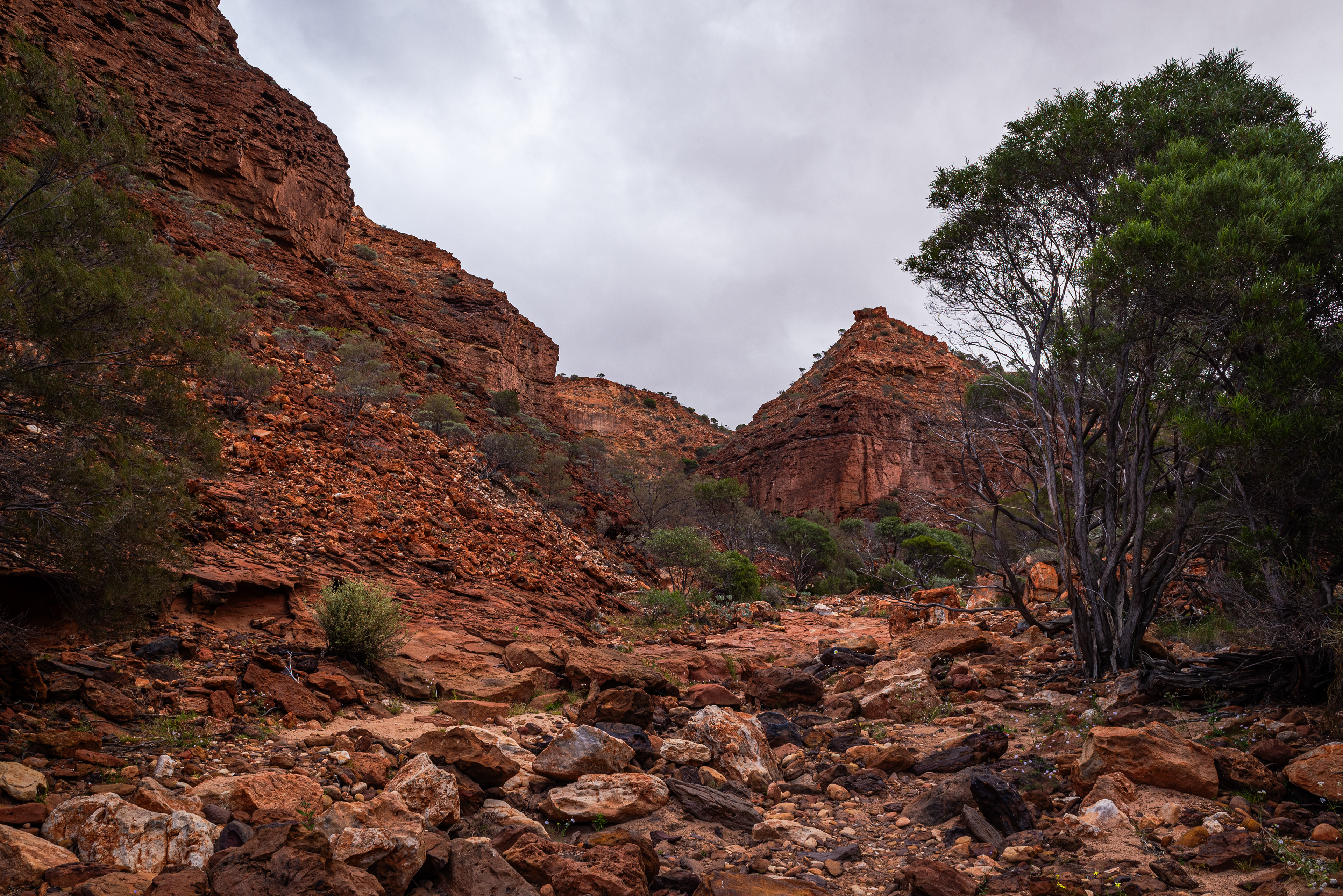 Kennedy Range National Park