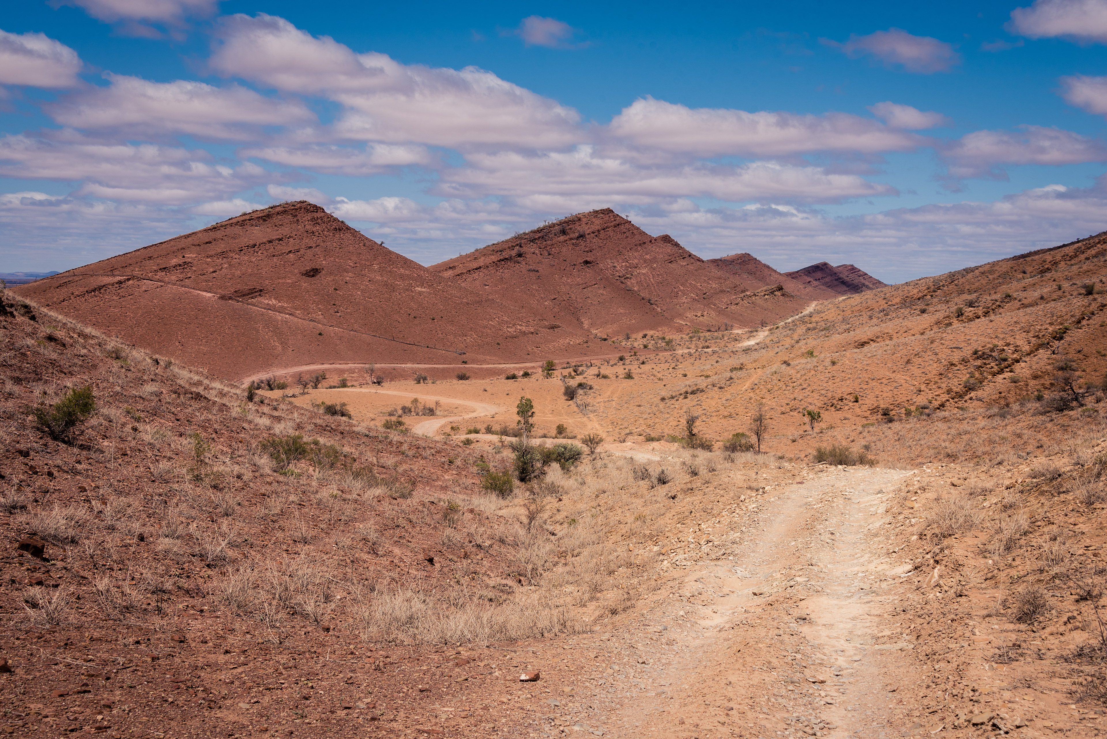 Skytrek, Willow Springs