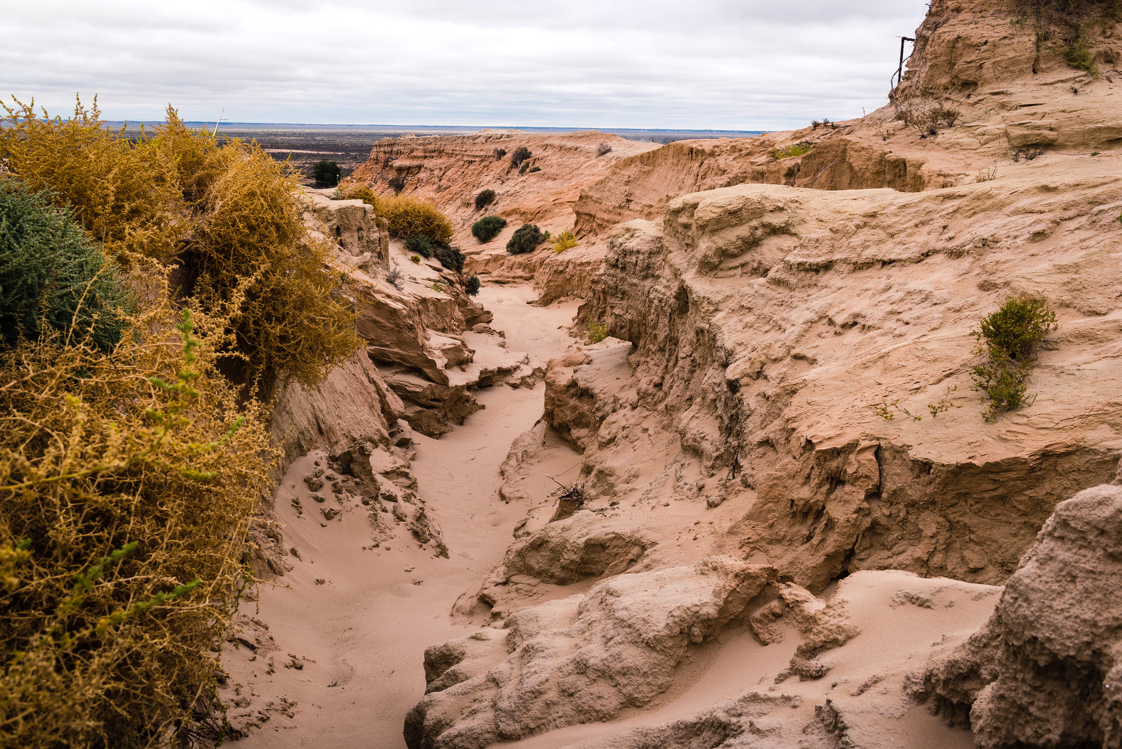 Mungo National Park