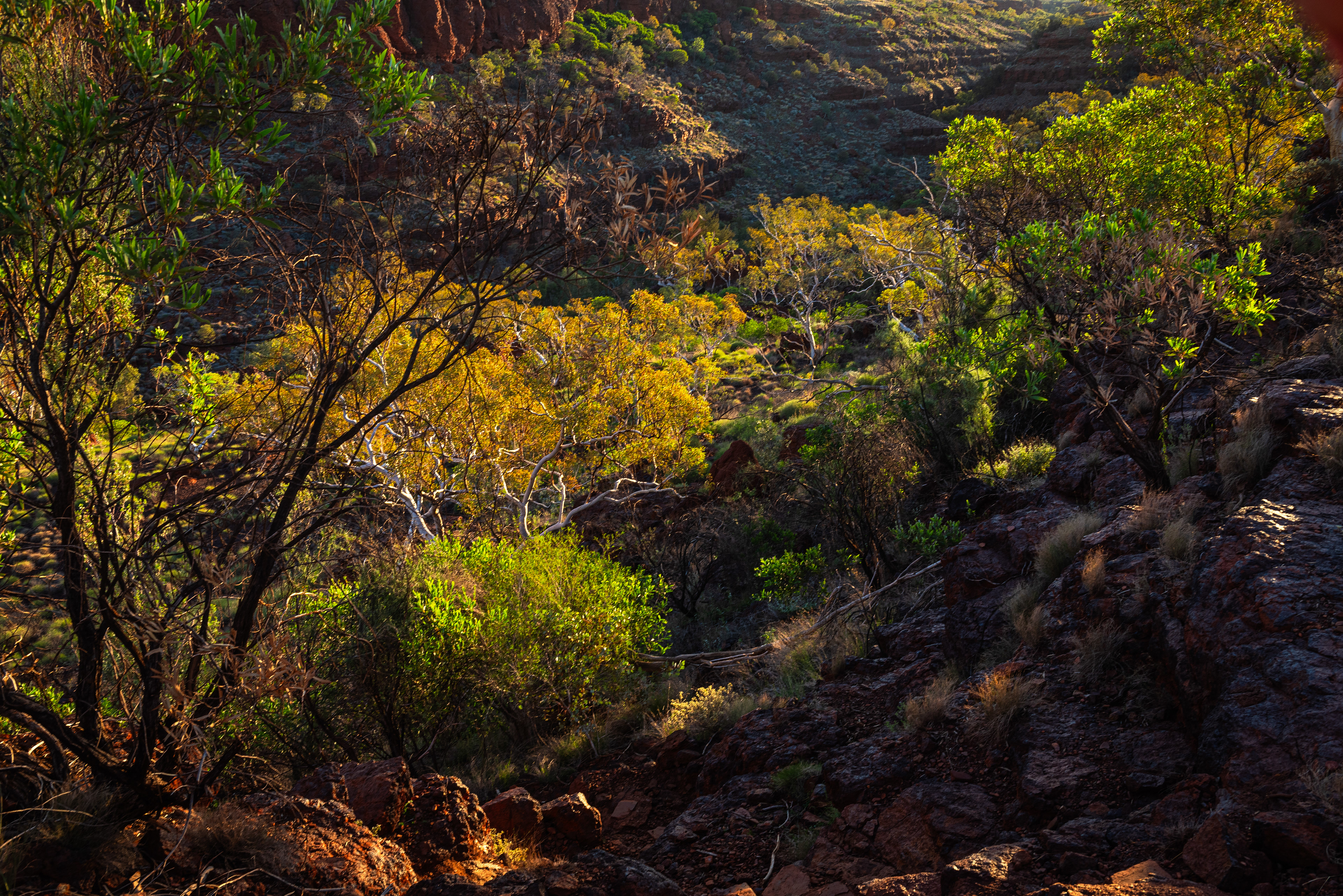 Karijini National Park