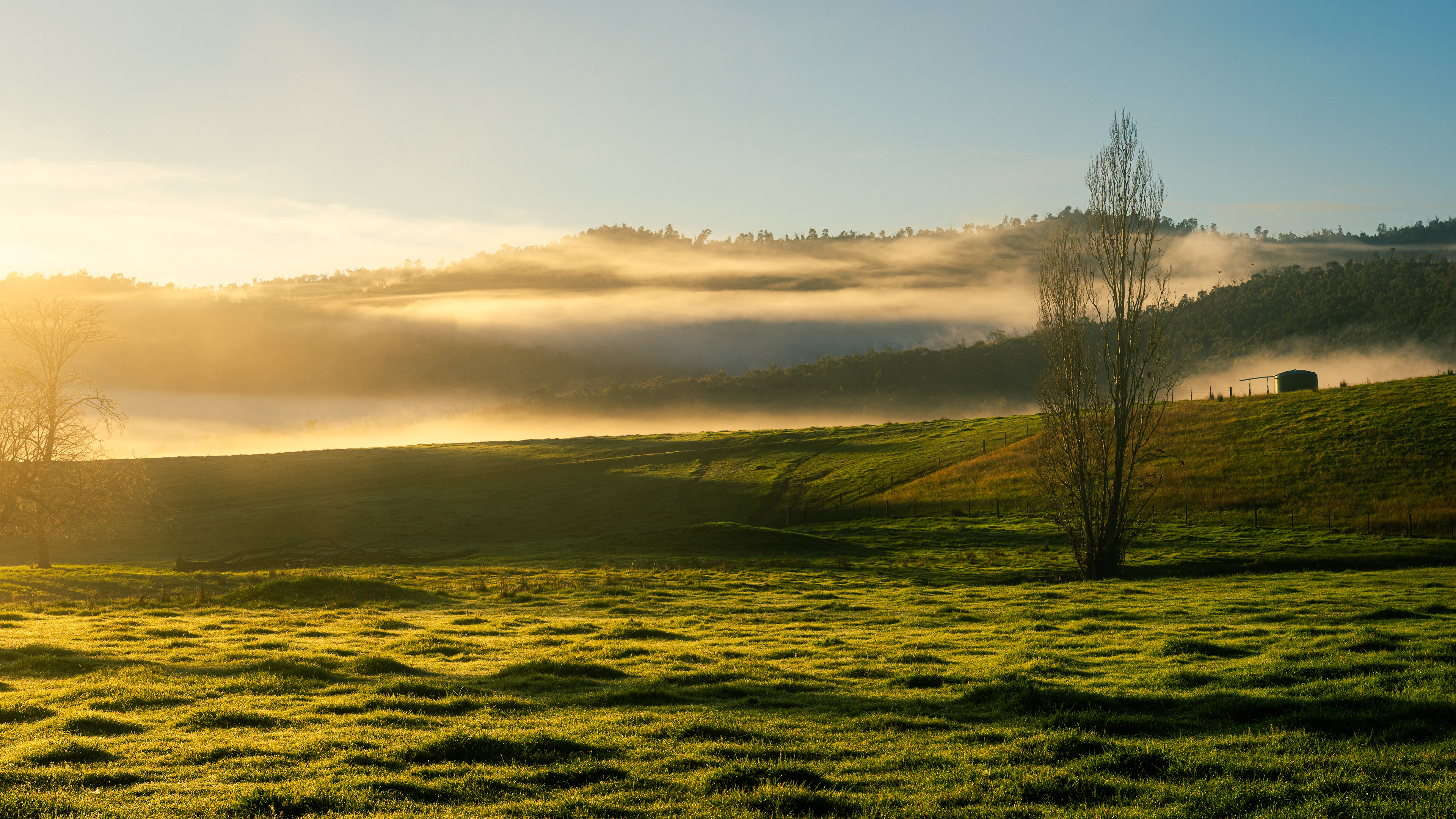 Corryong