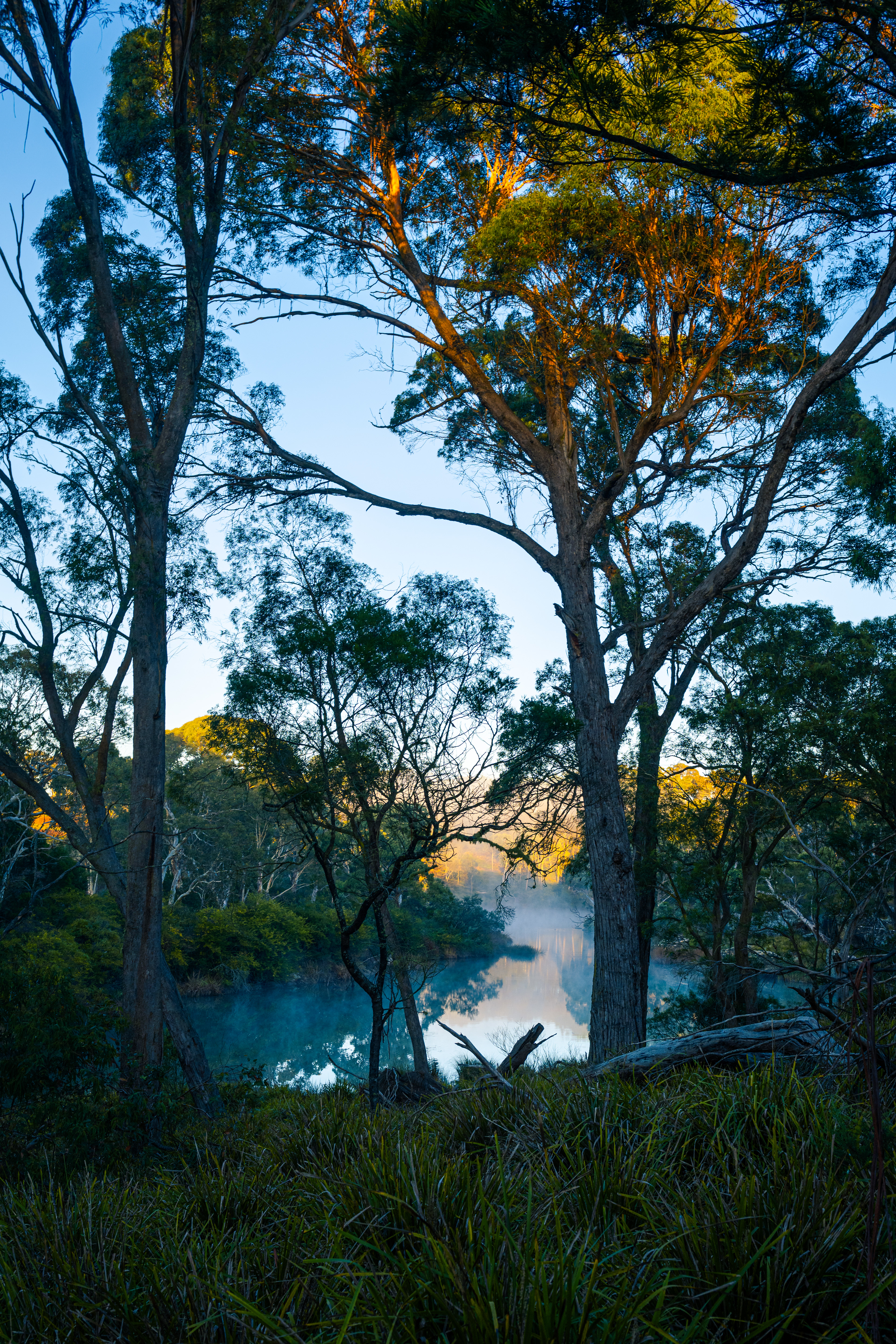 Berrima River Walk