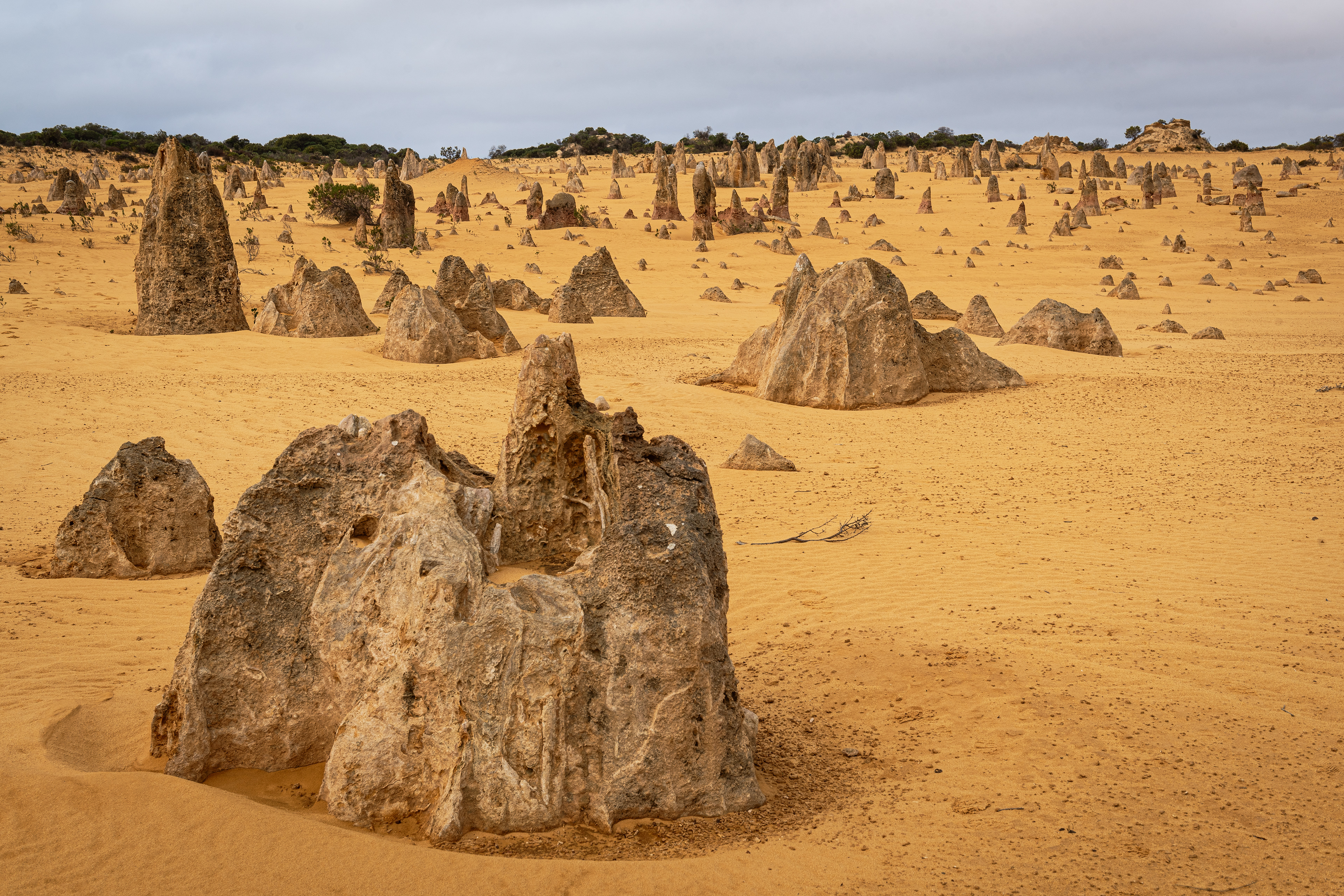 The Pinnacles Desert, Nambung National Park
