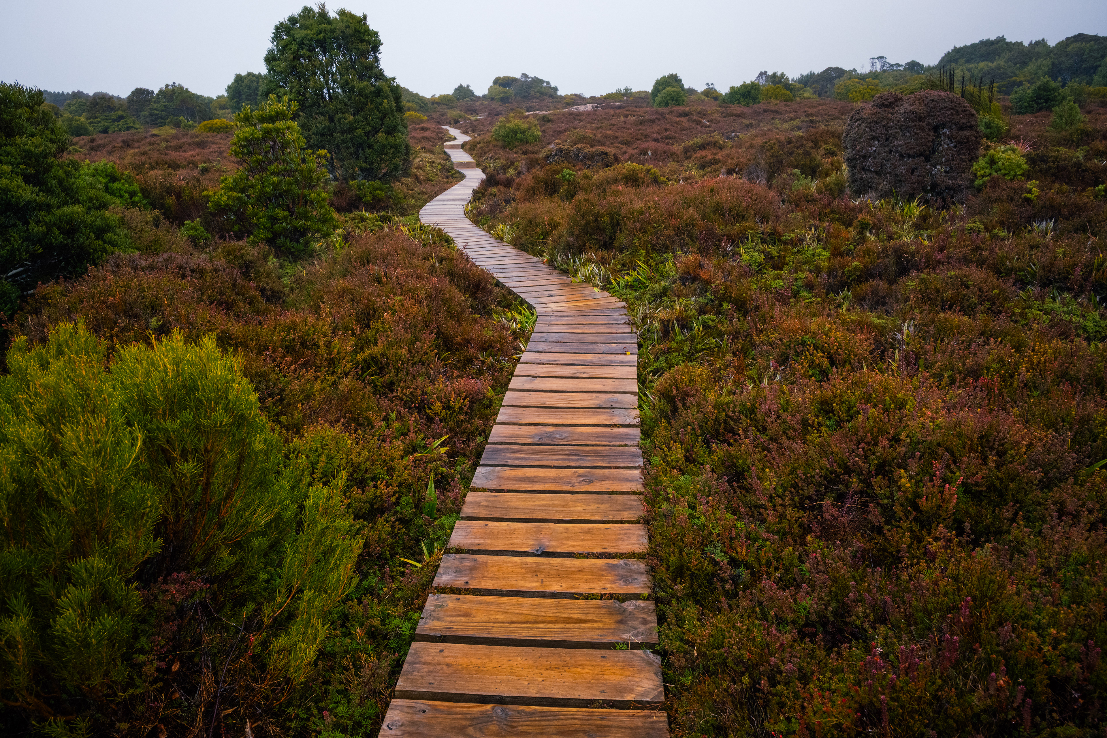 Hartz Mountains National Park