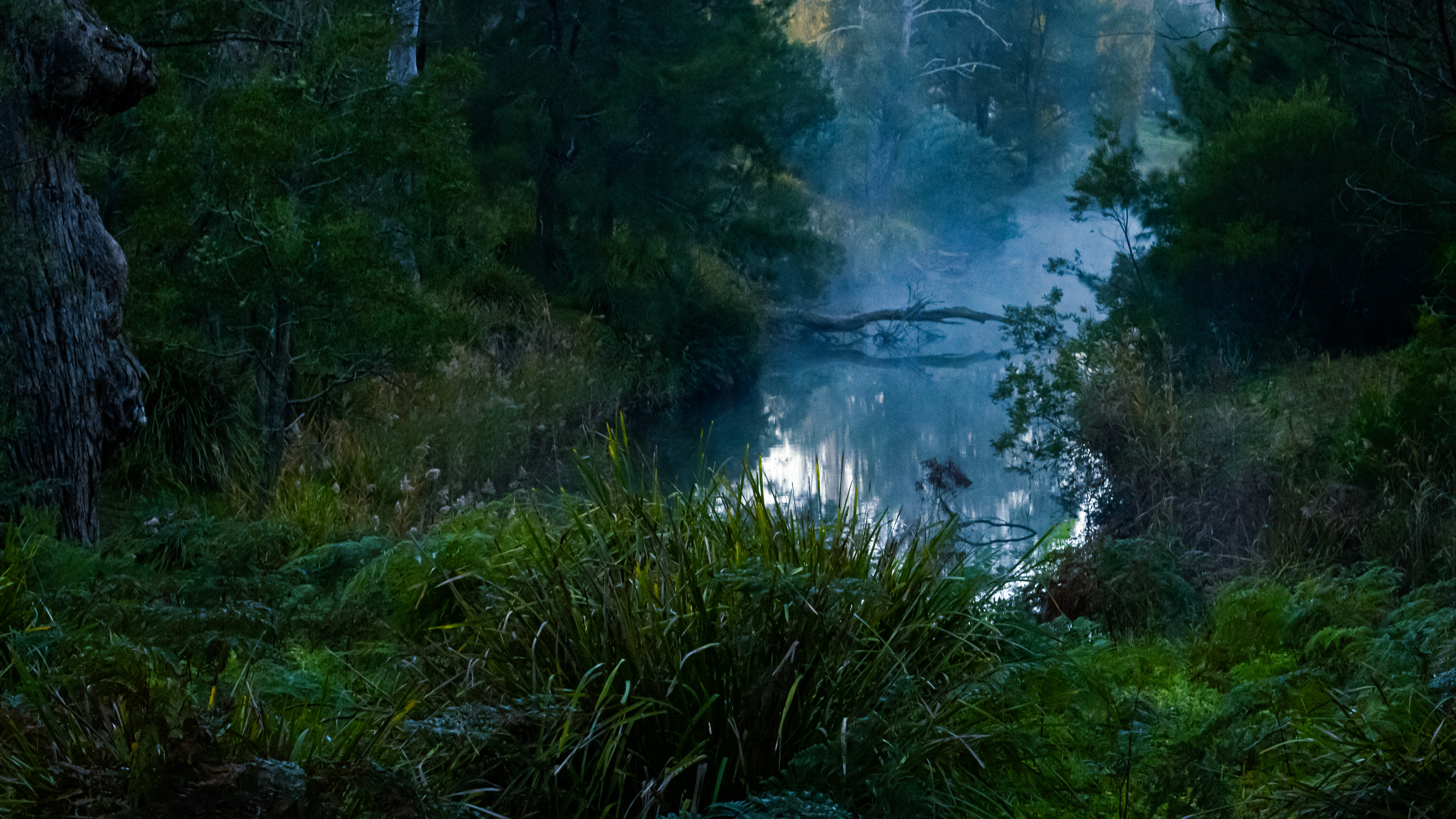Berrima River Walk