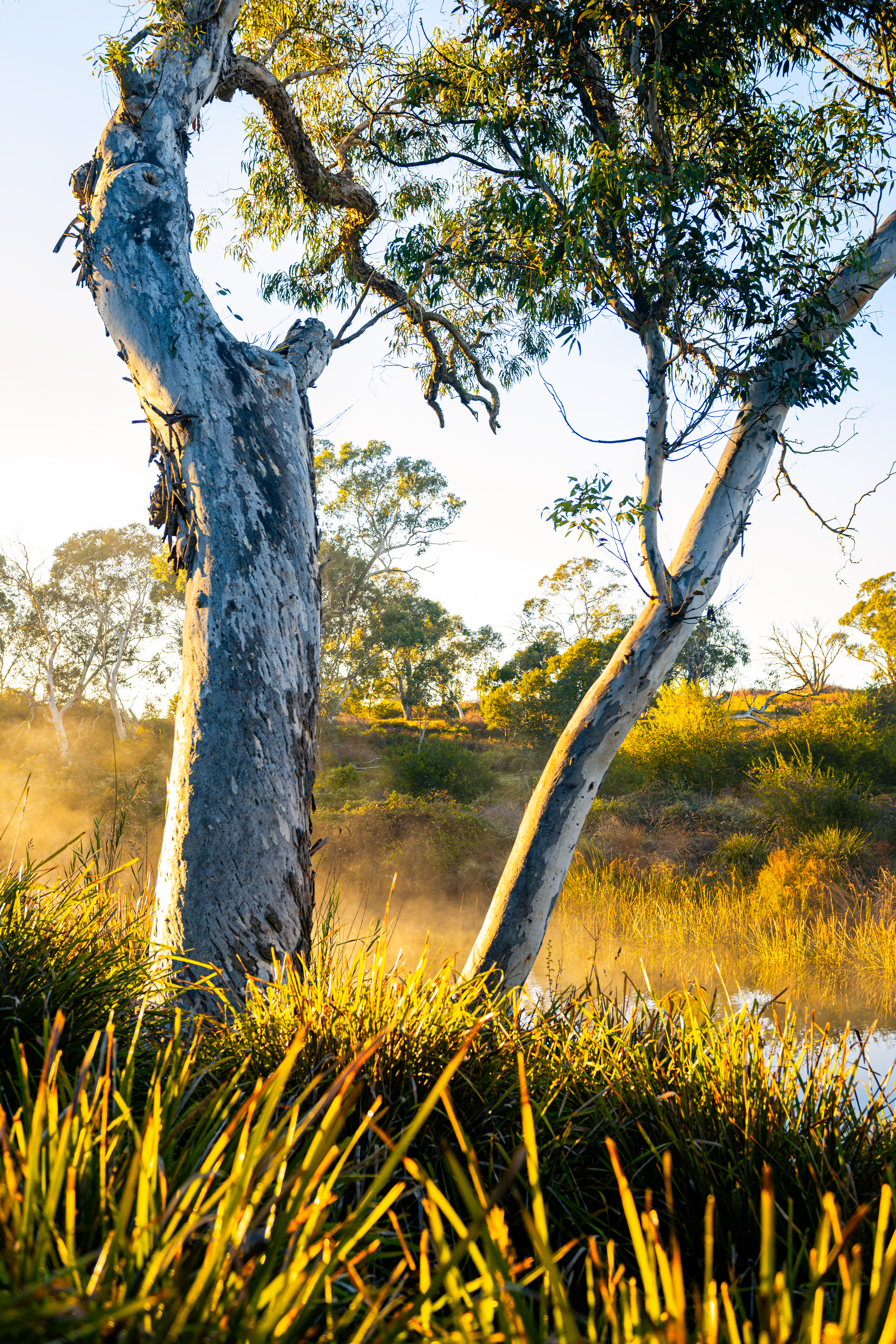 Berrima River Walk