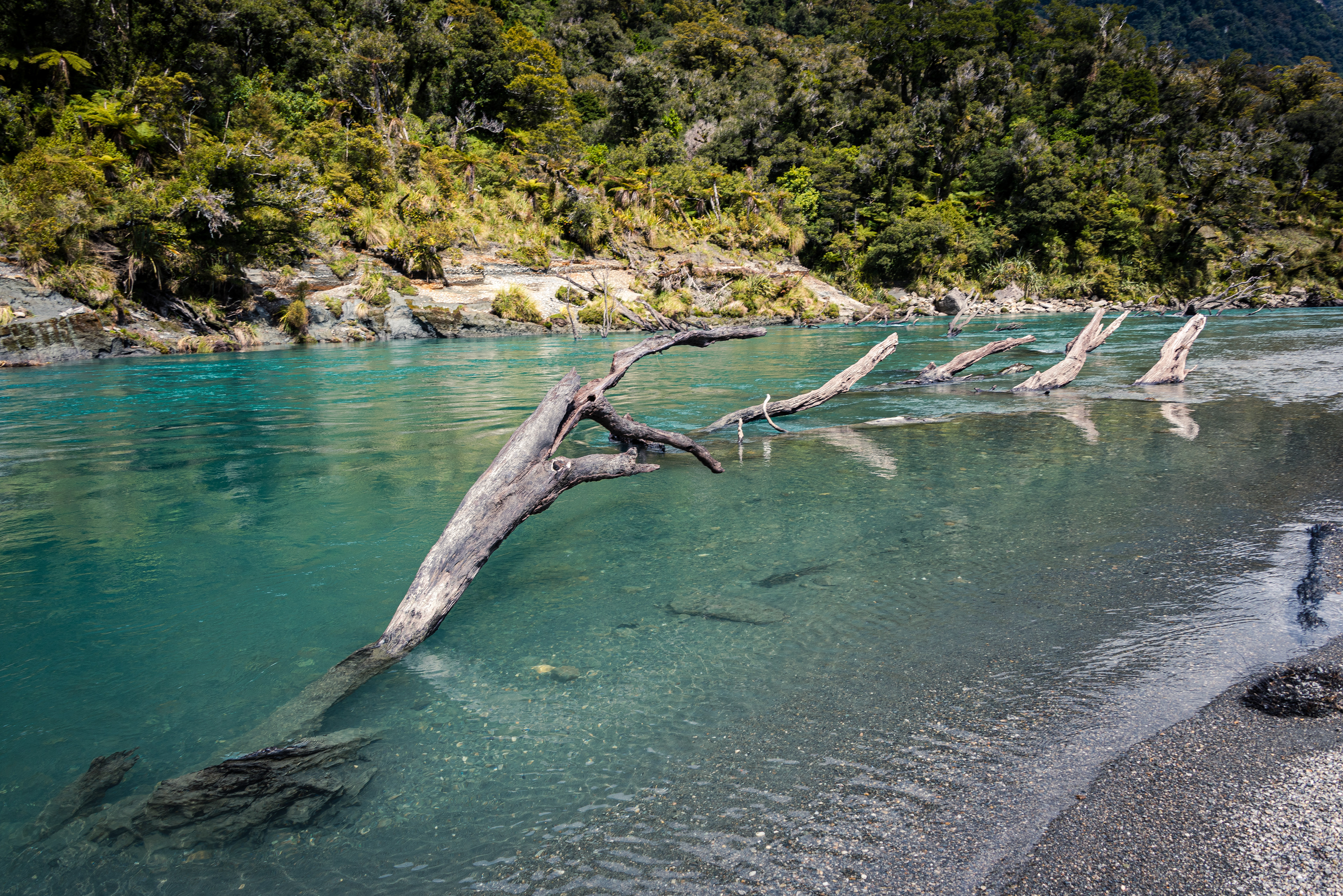 Waiatoto River, South Island