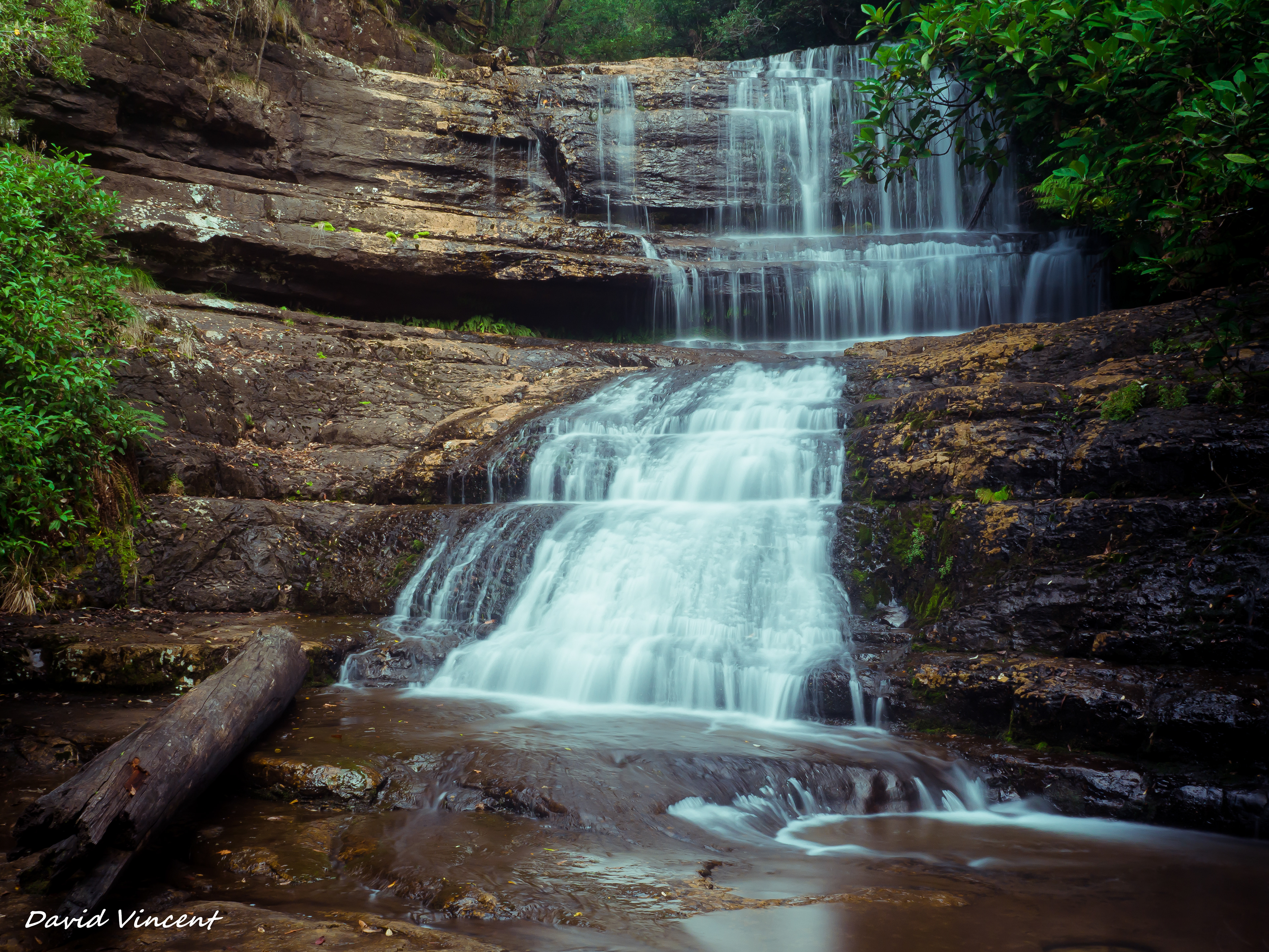 Mount Field National Park