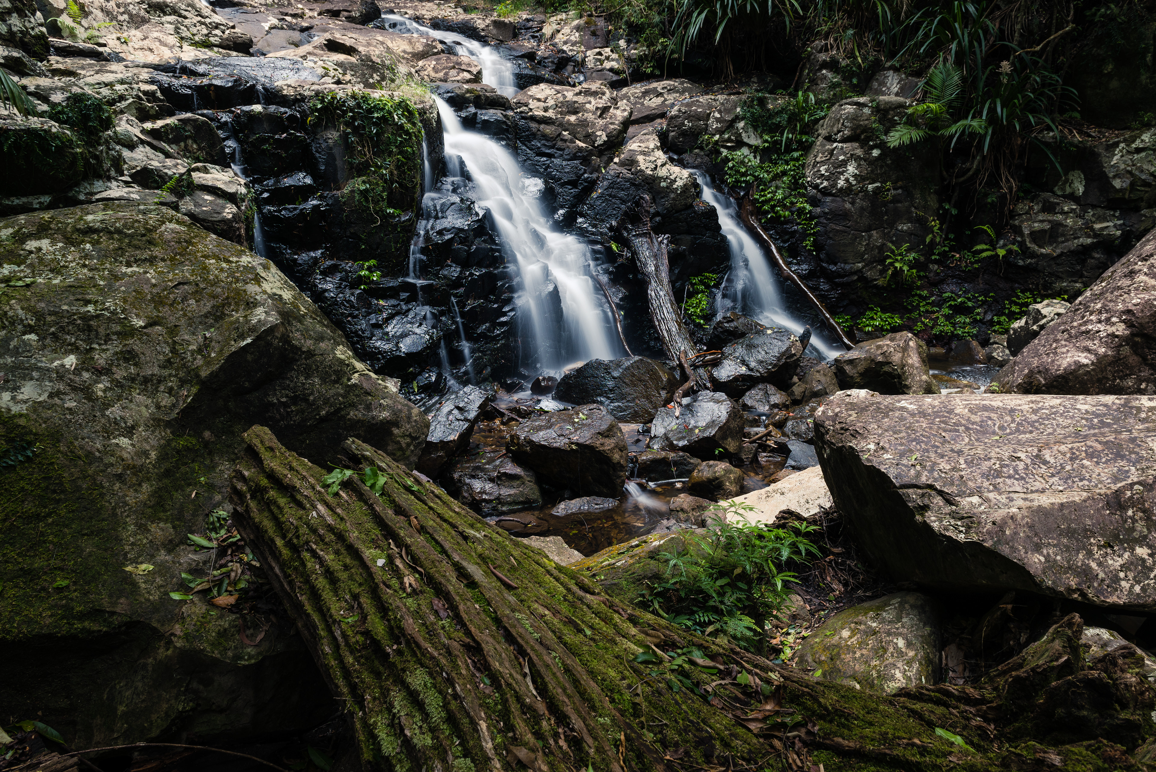Protestor Falls, Nightcap National Park