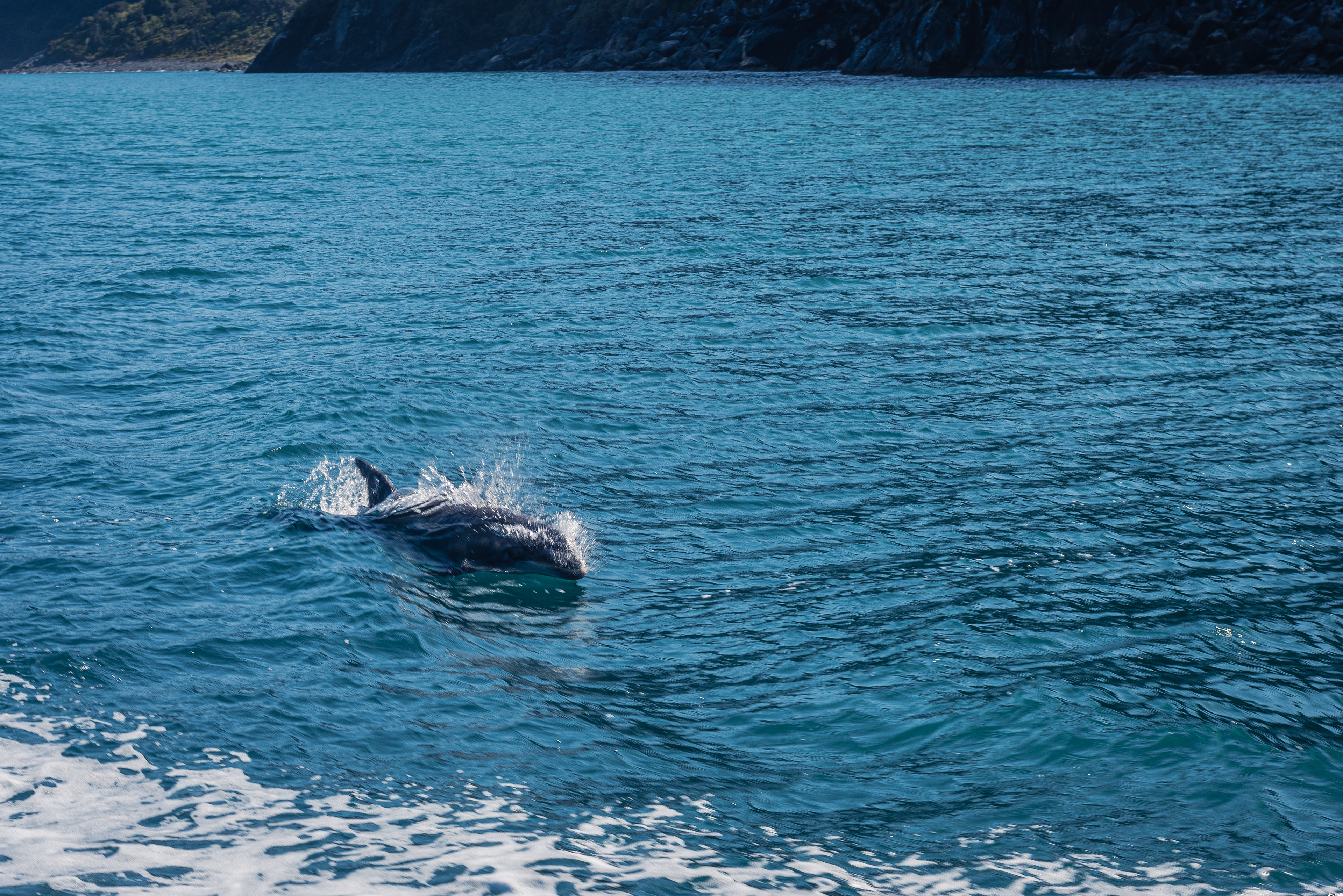Milford Sound, South Island