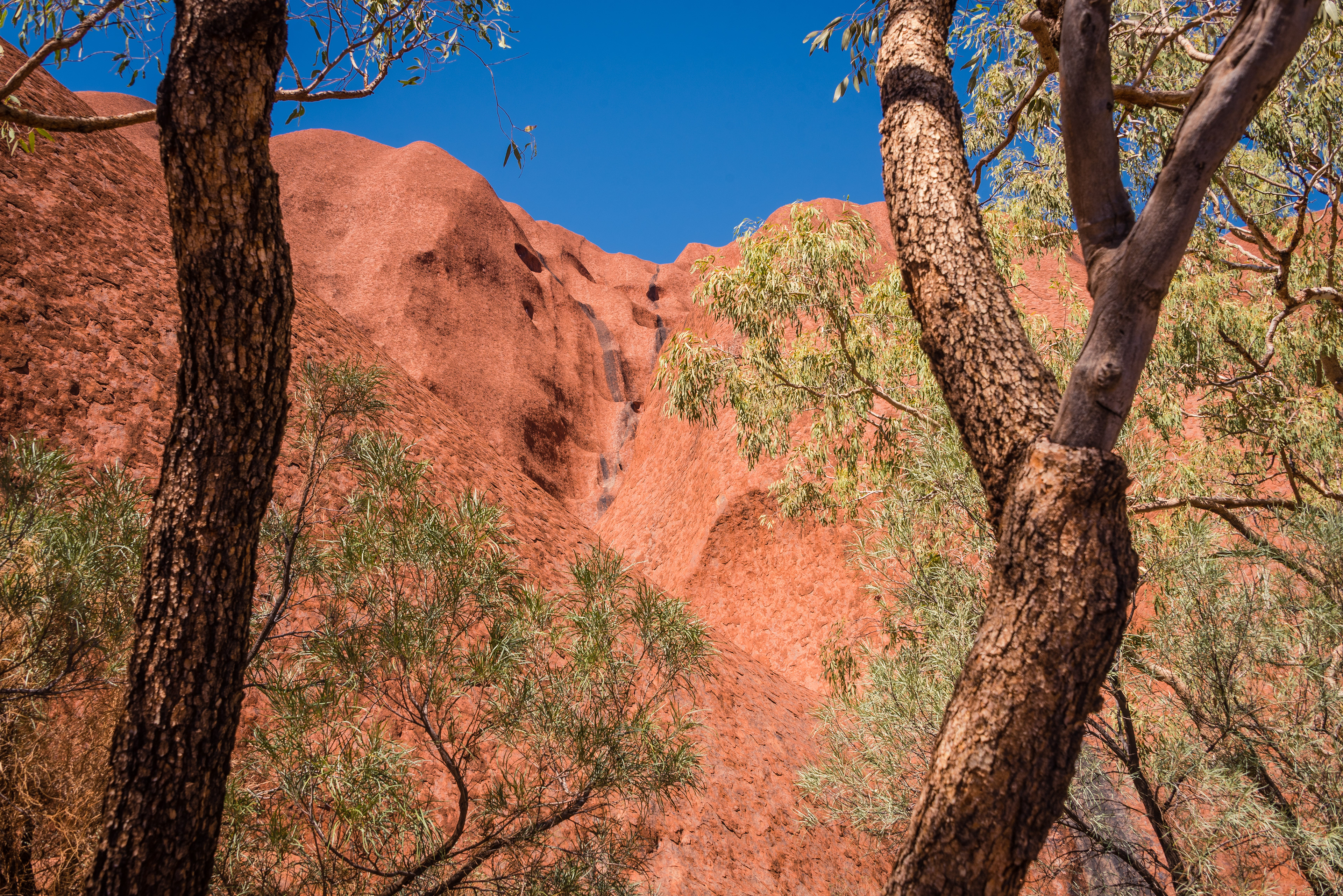 Uluru