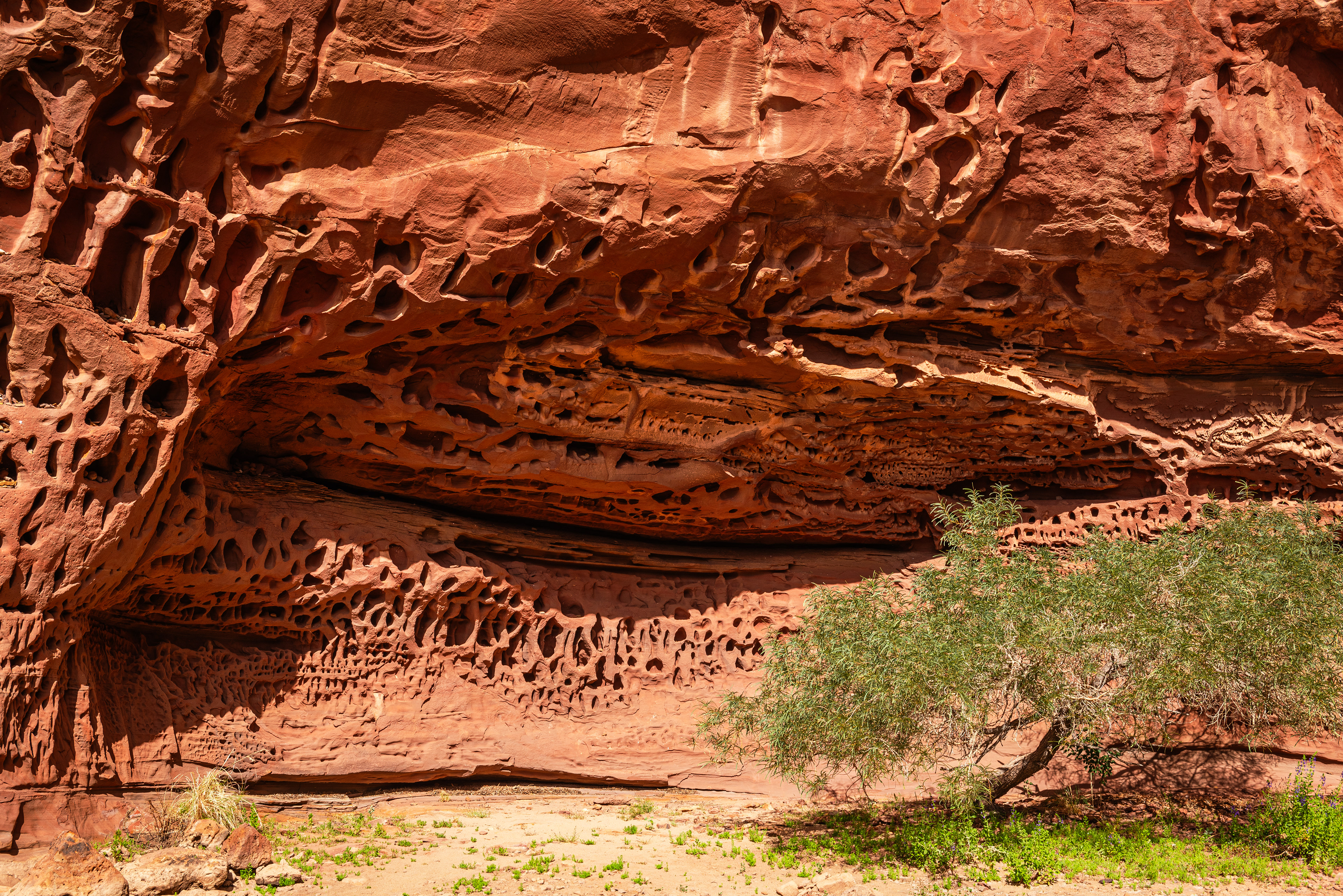 Kennedy Range National Park