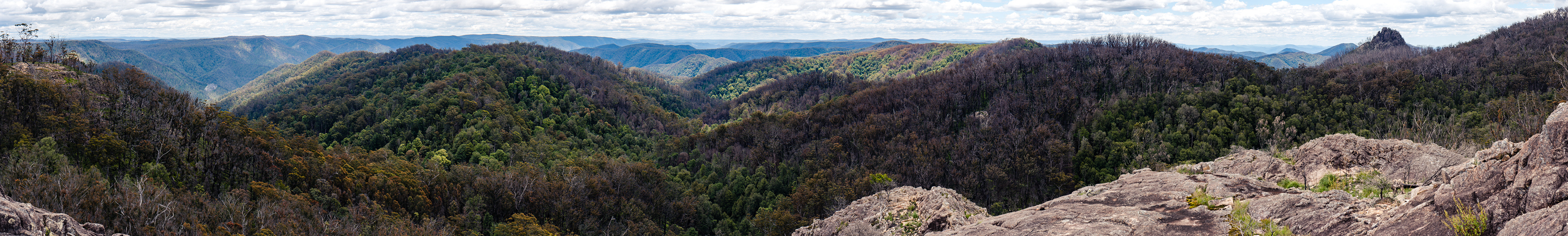 Werrikimbe National Park