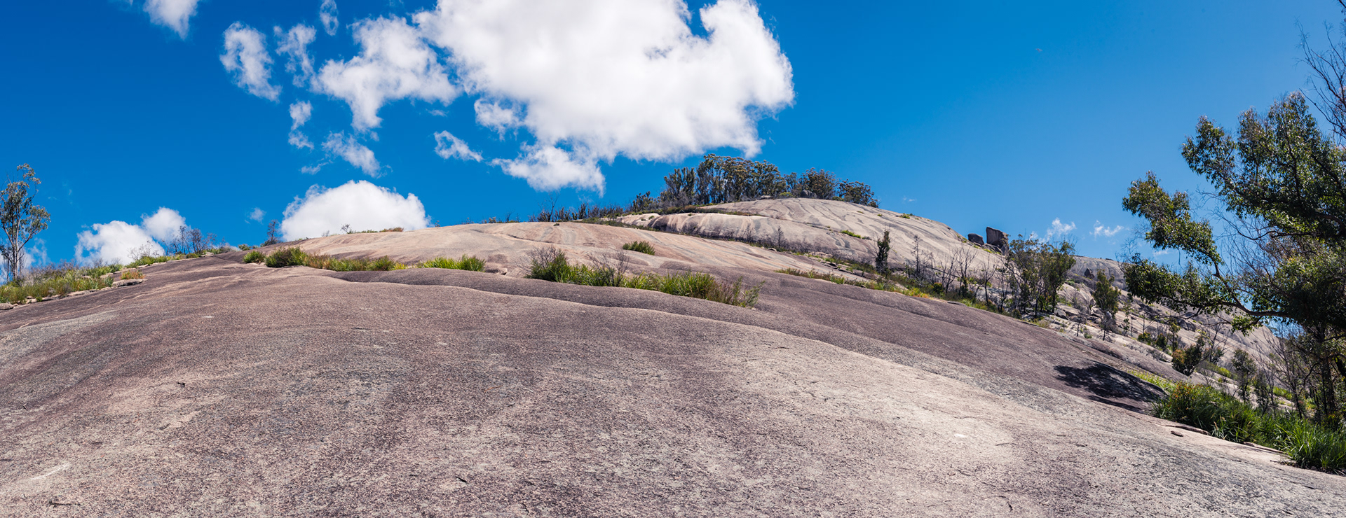 Bald Rock National Park