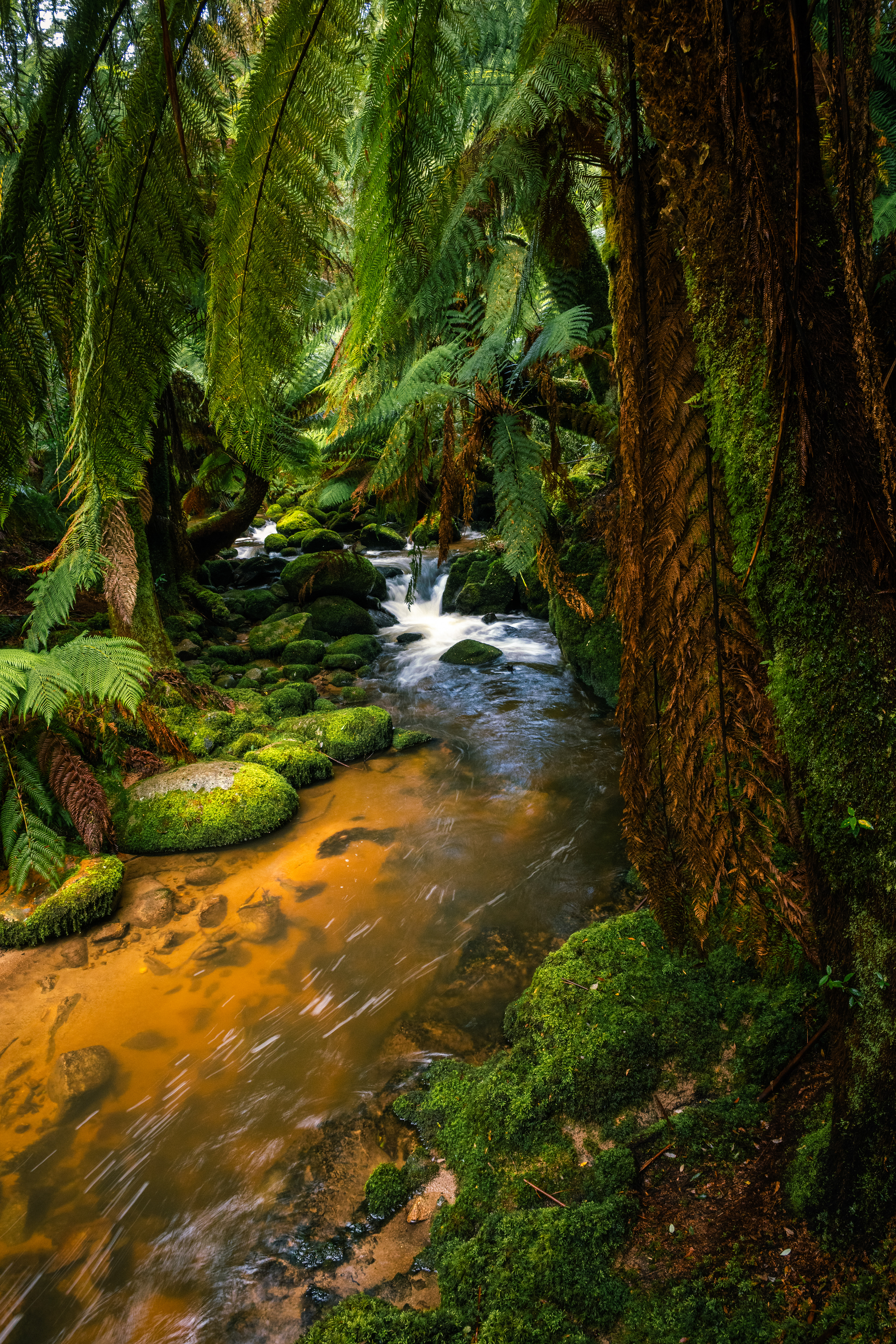 St Columba Falls