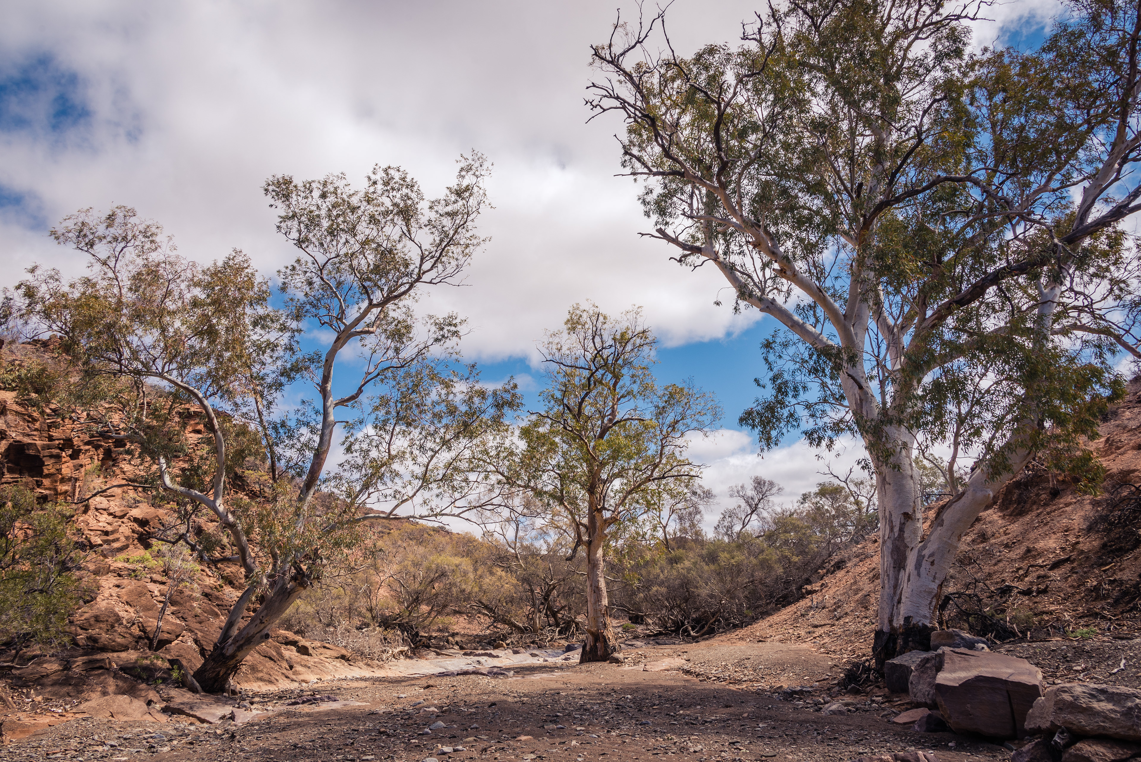Skytrek, Willow Springs