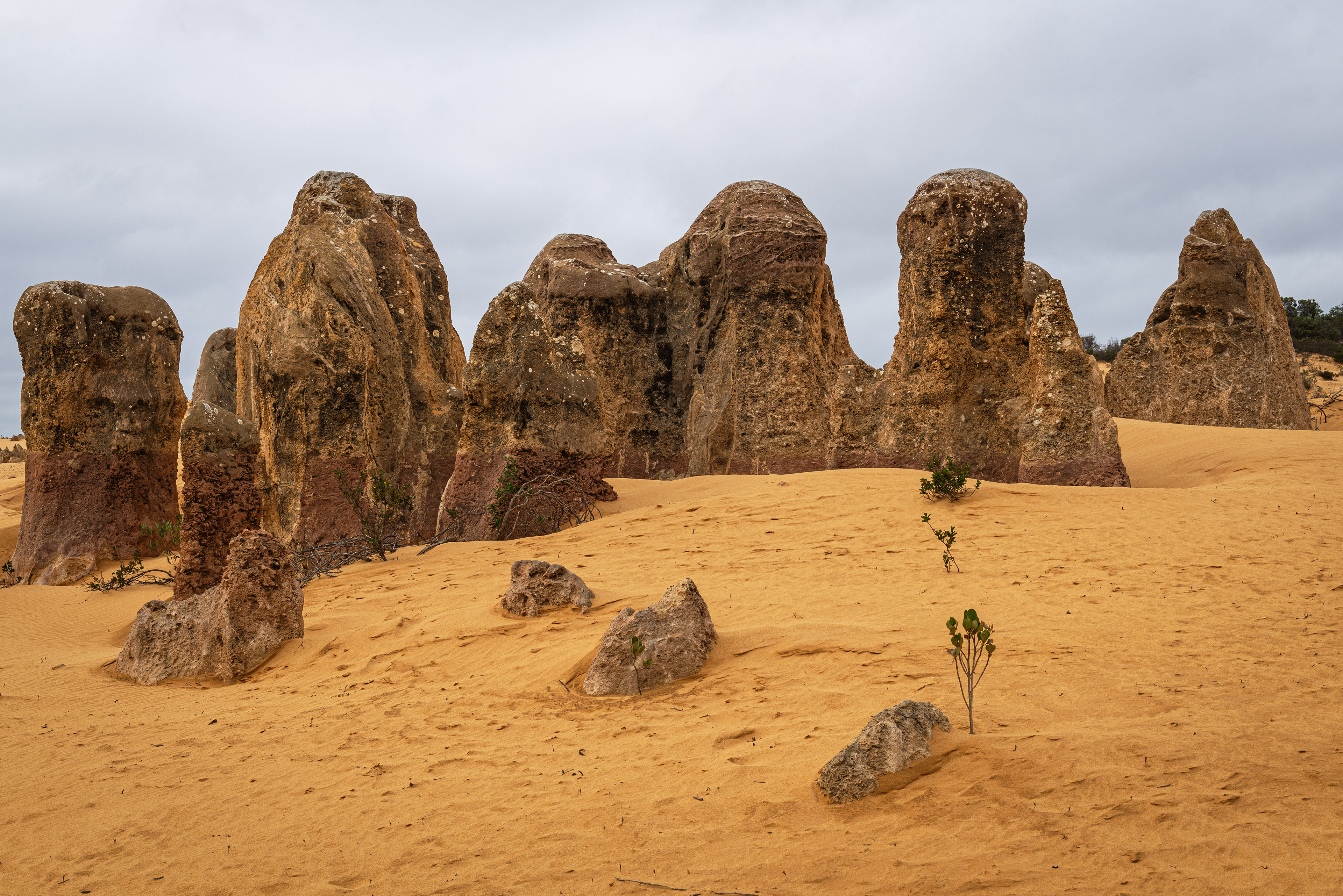 The Pinnacles Desert, Nambung National Park