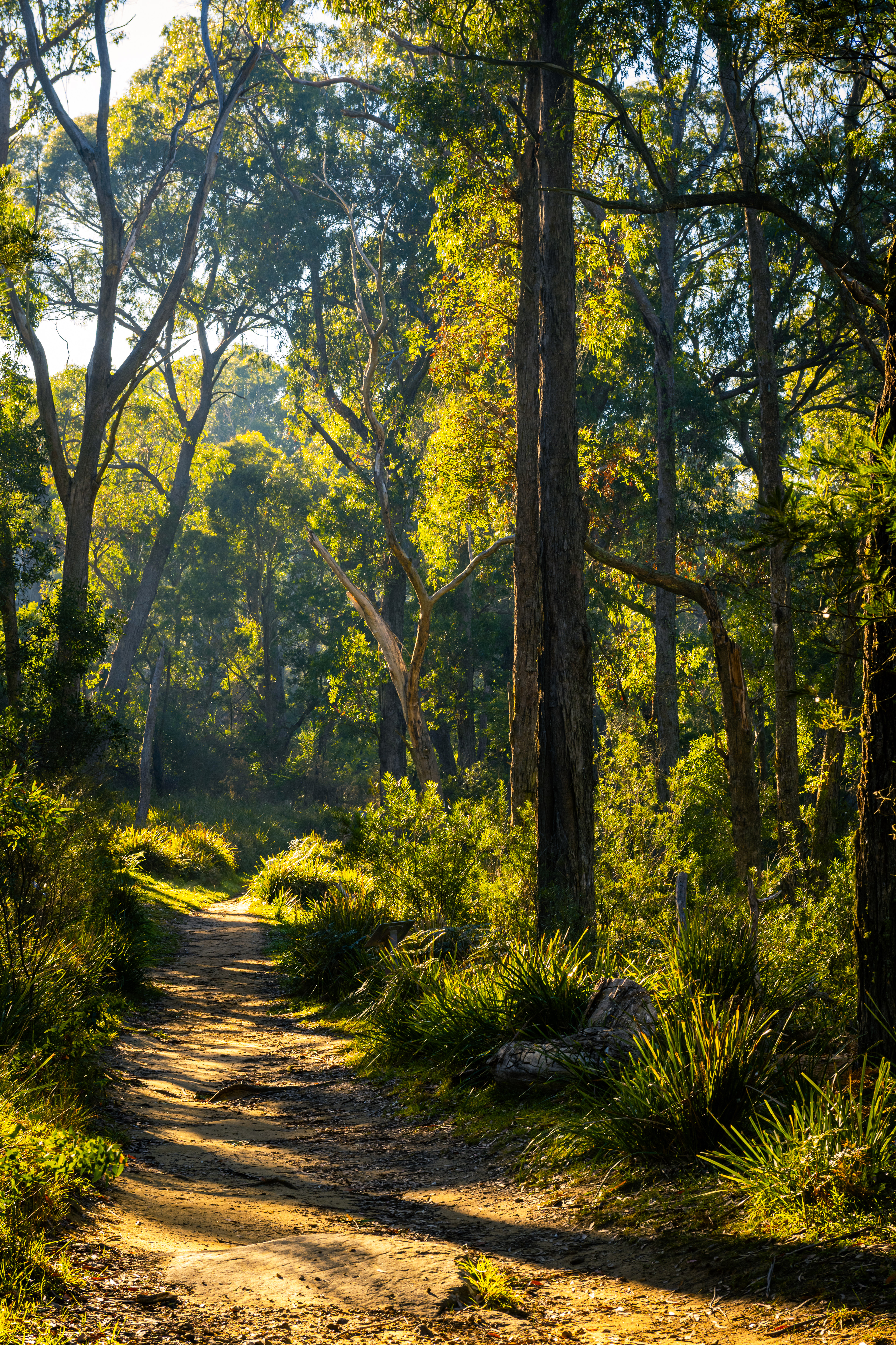 Berrima River Walk