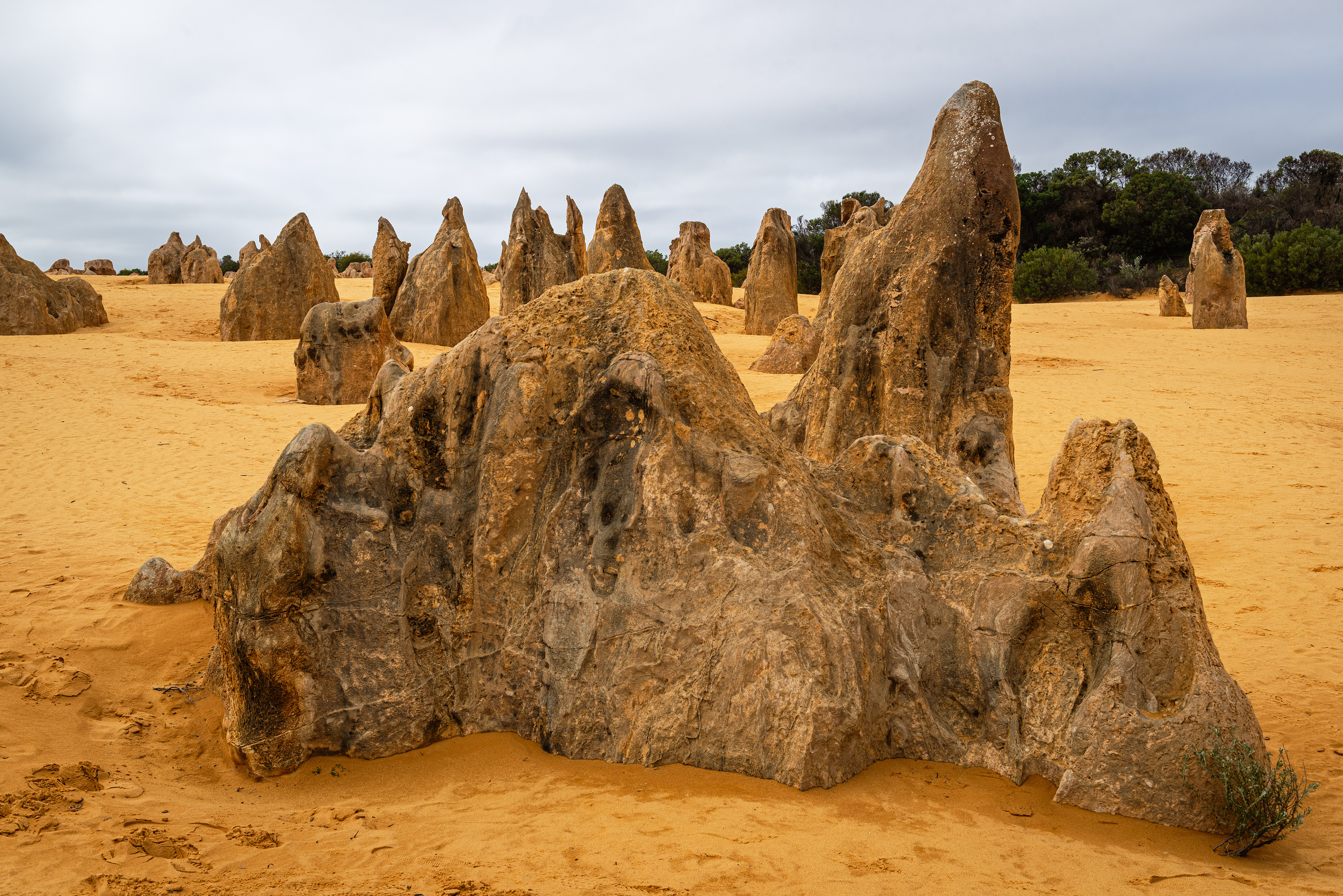 The Pinnacles Desert, Nambung National Park