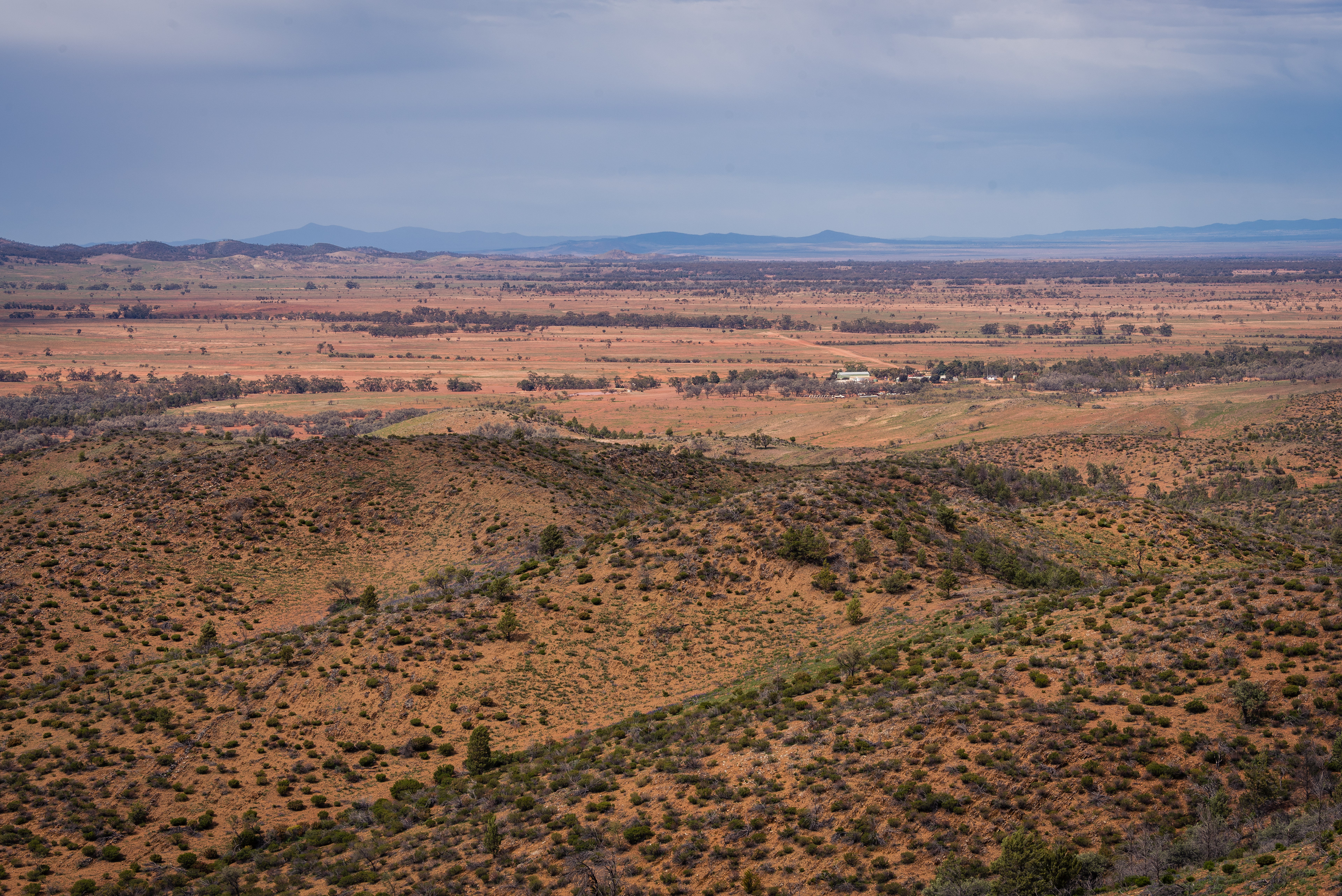 Bendleby Ranges