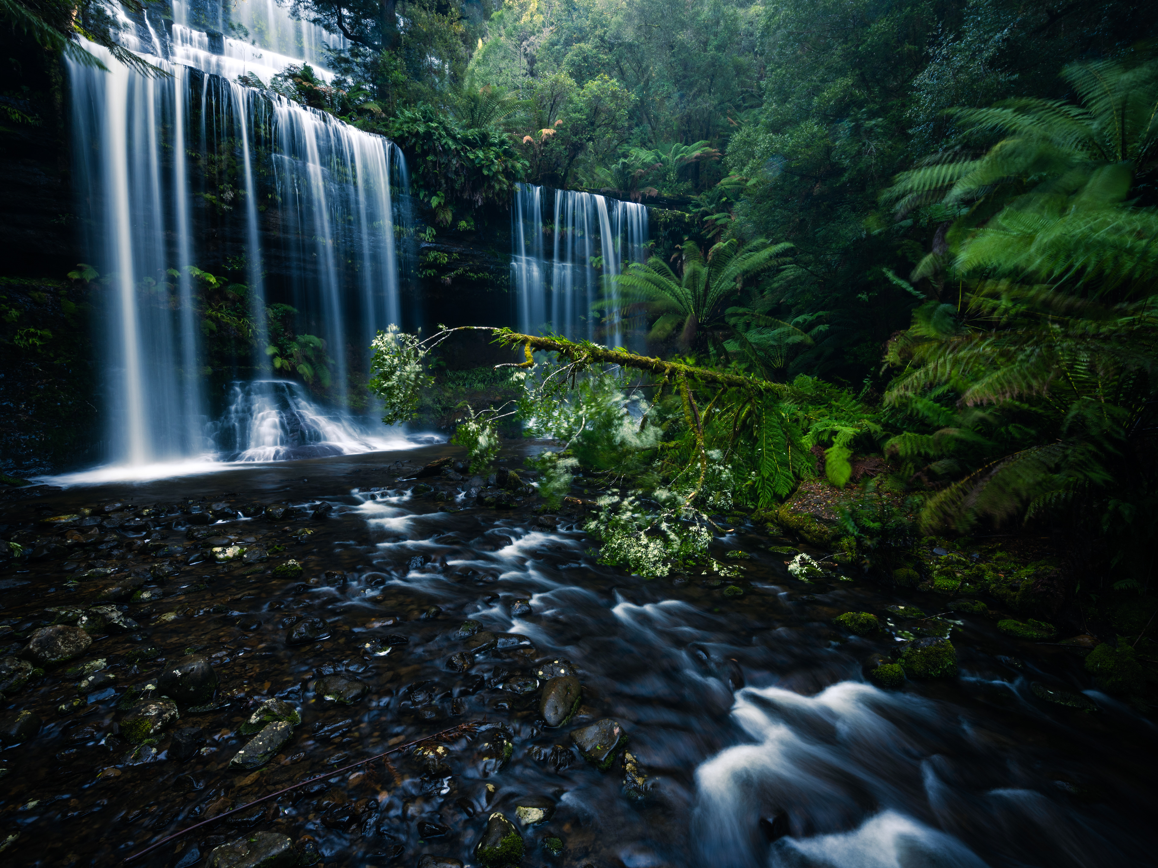 Mount Field National Park