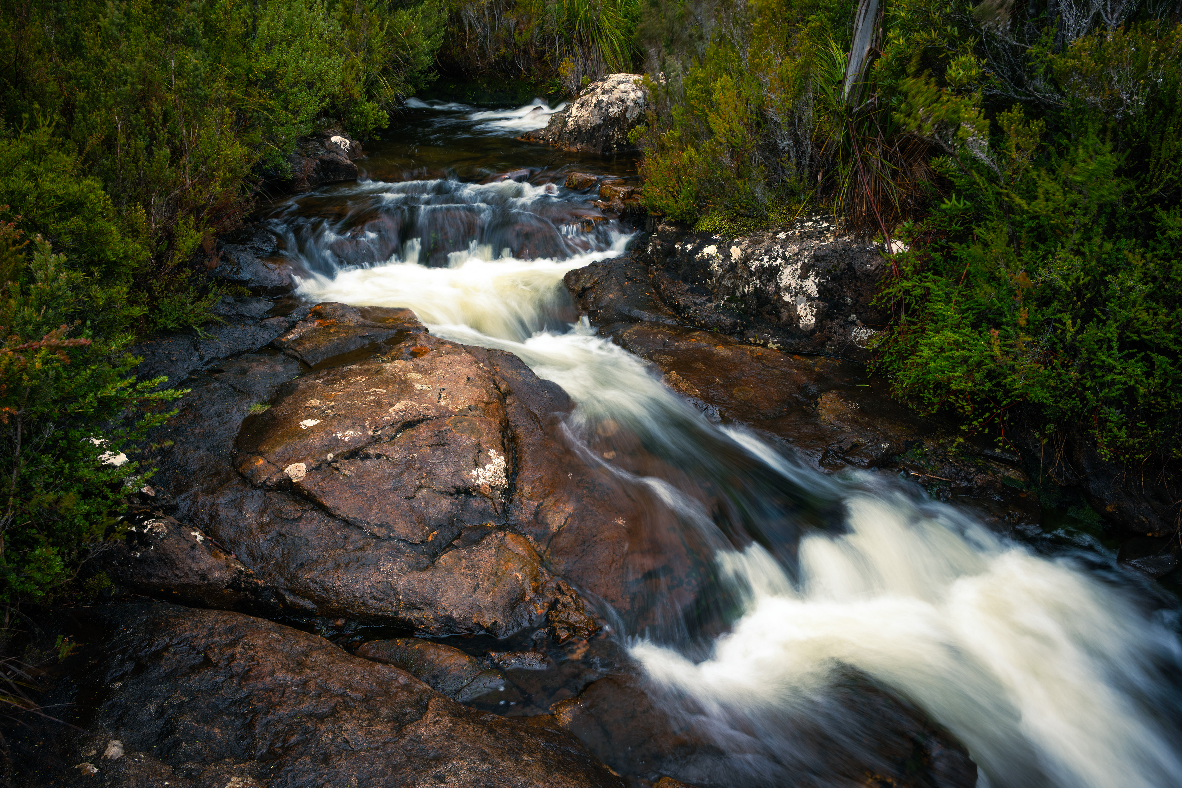 Hartz Mountains National Park