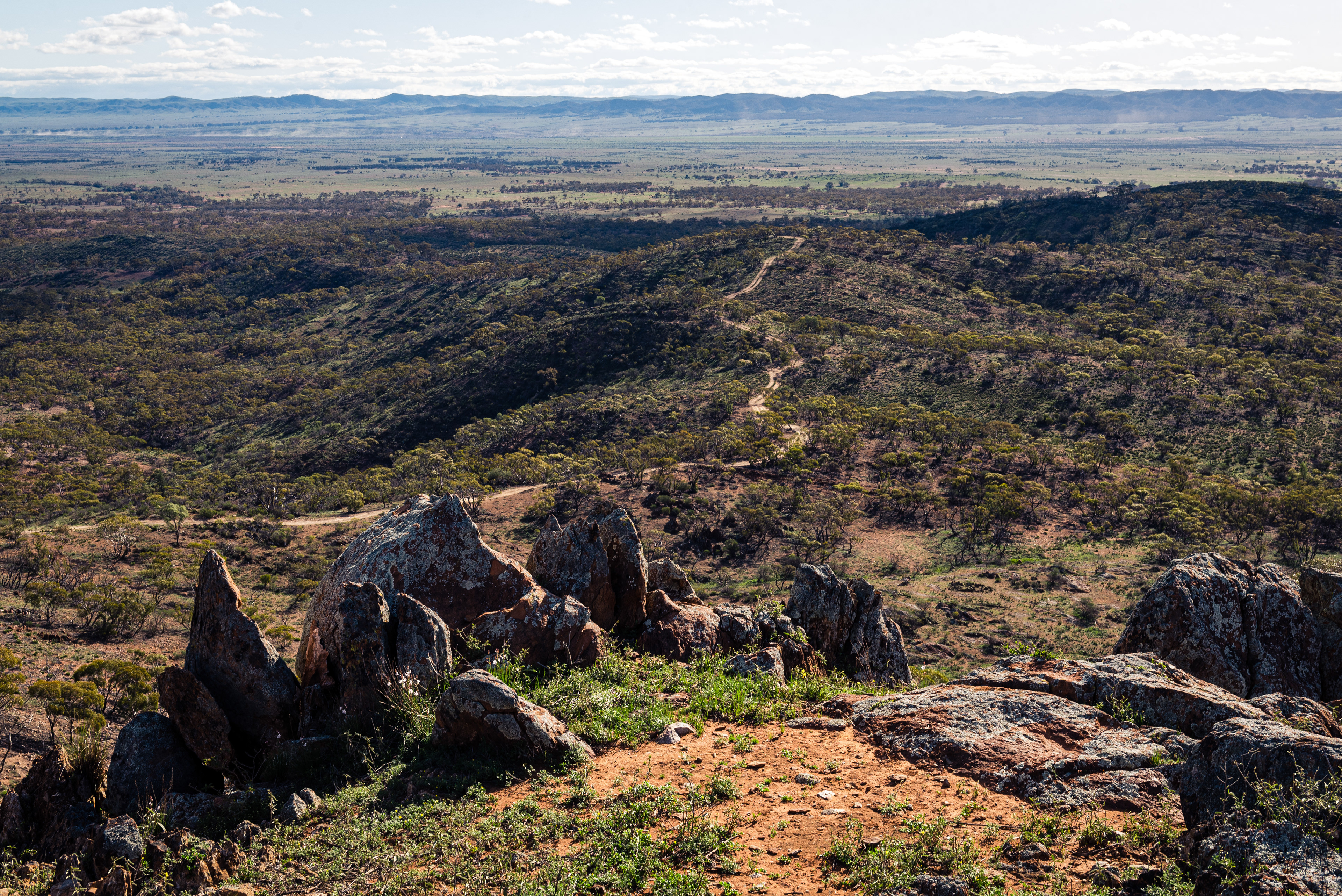 Bendleby Ranges