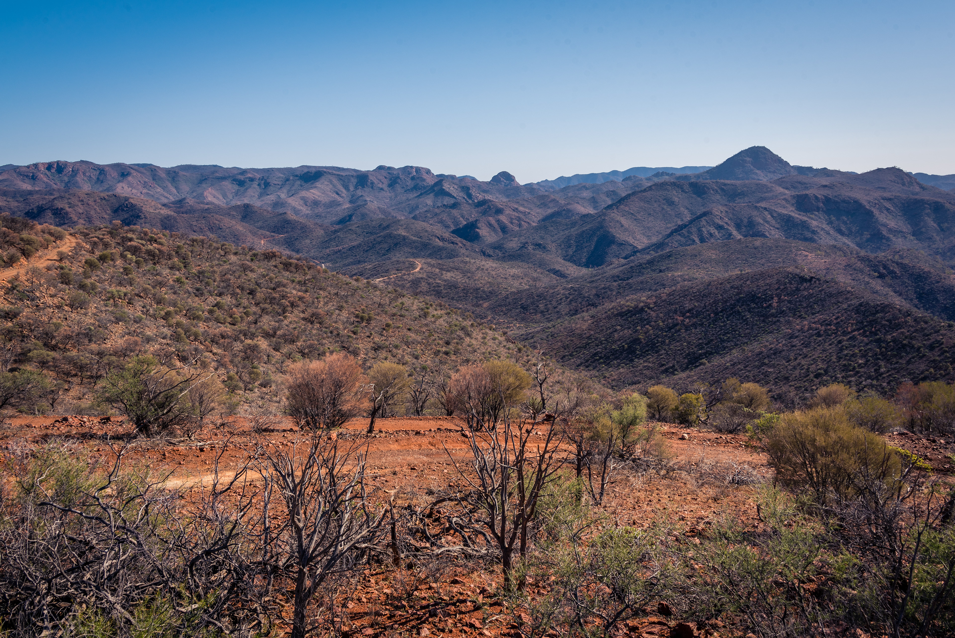 Arkaroola Wilderness Sanctuary