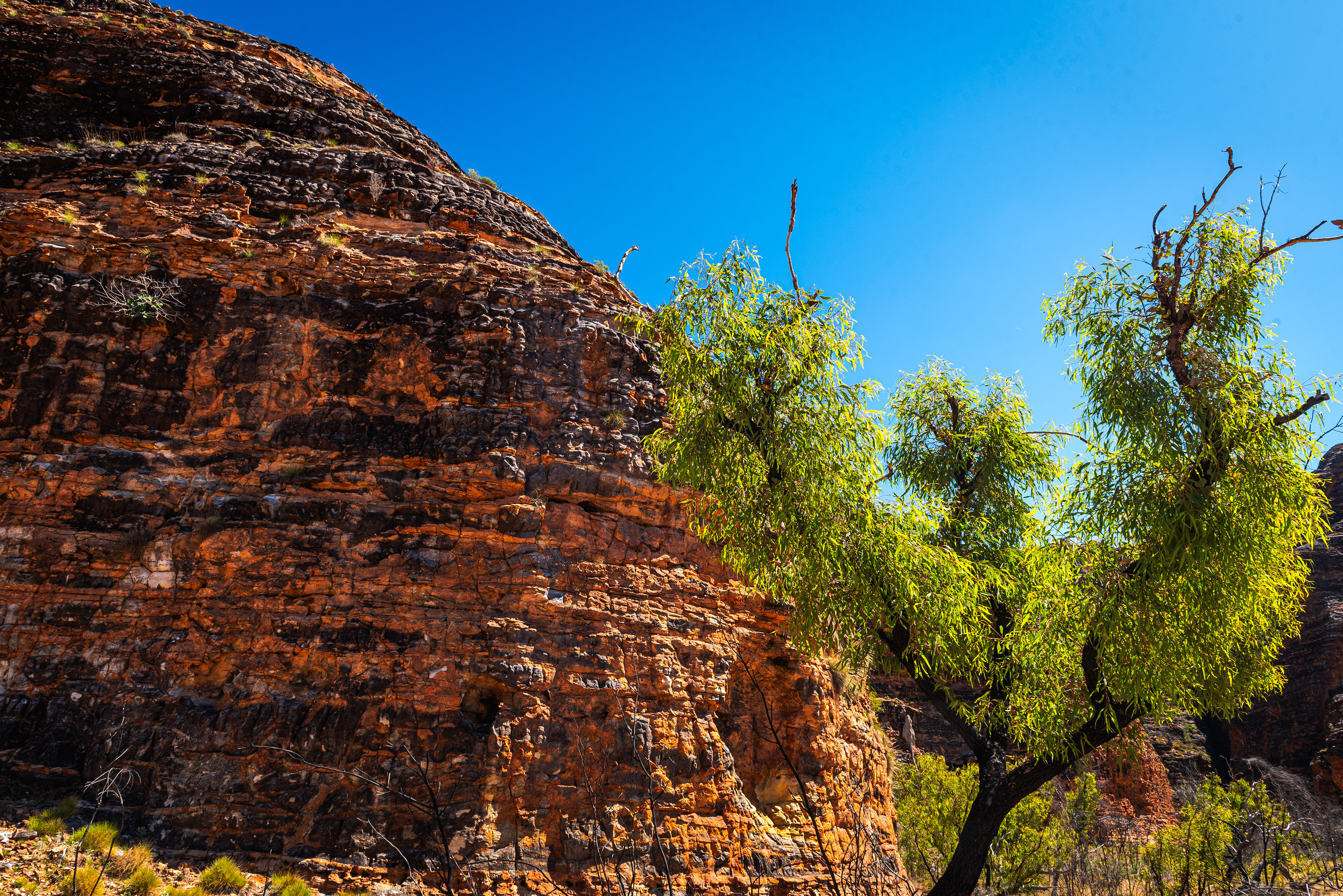 The Bungle Bungles, Purnululu National Park