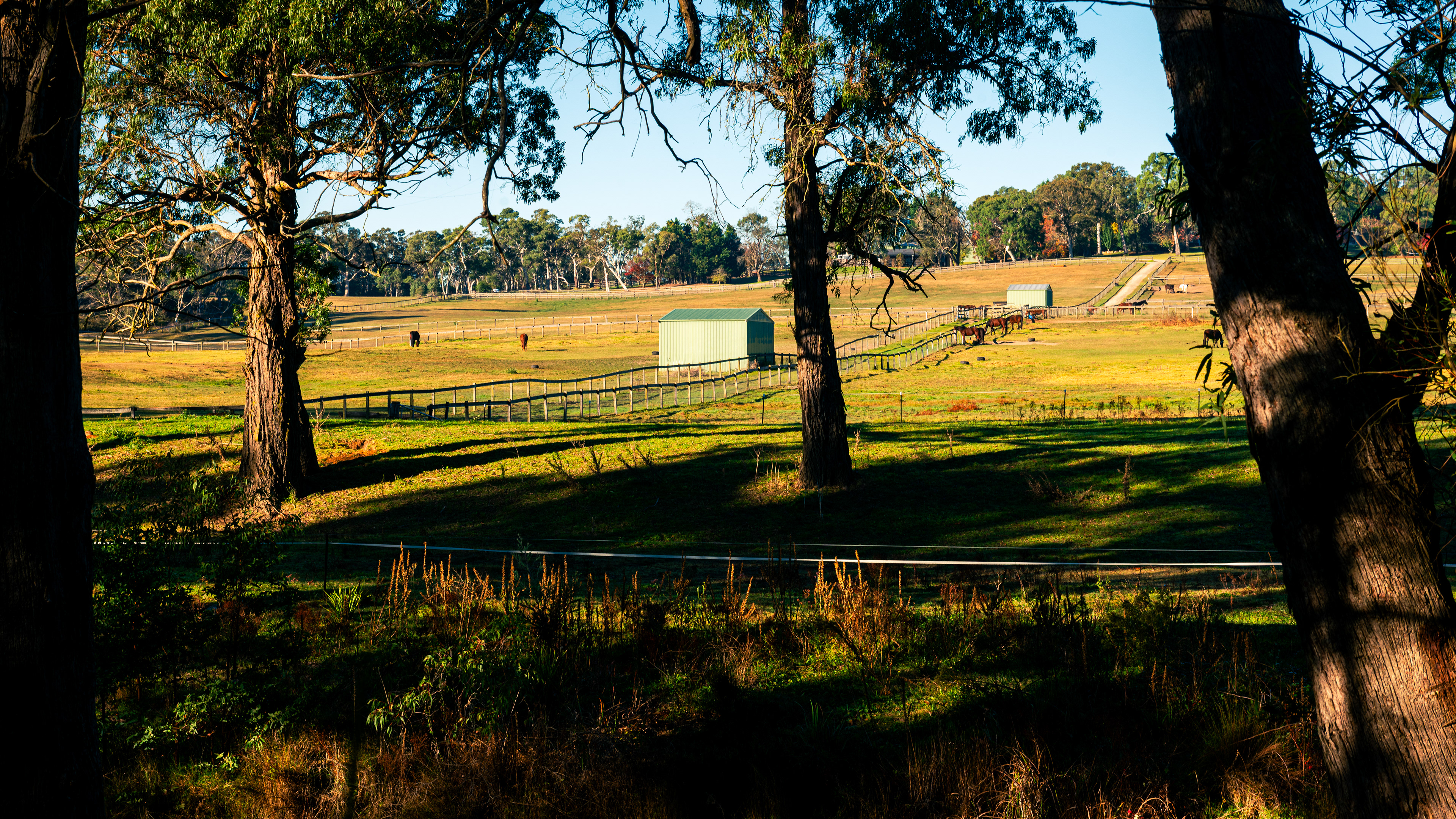 Berrima River Walk