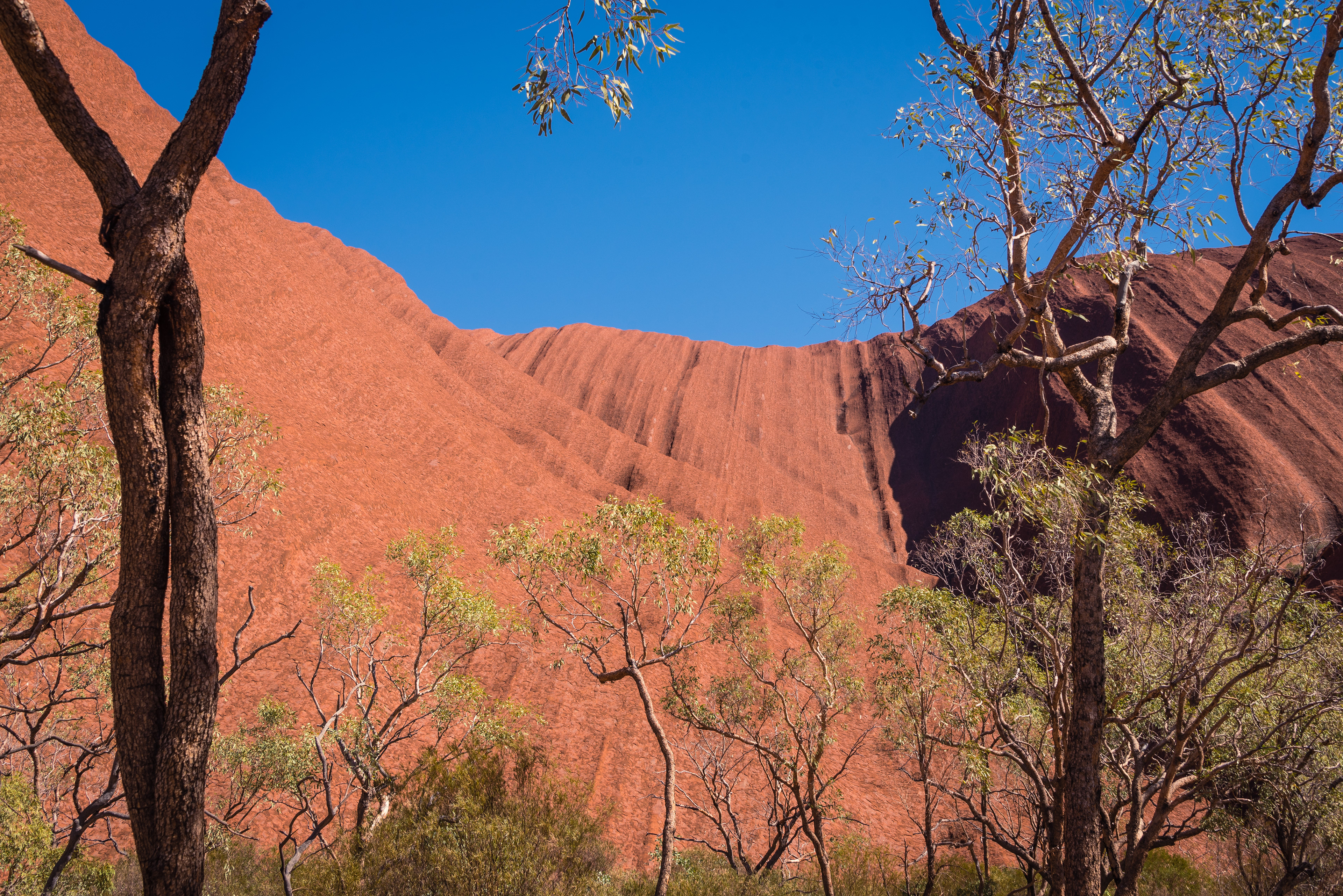 Uluru