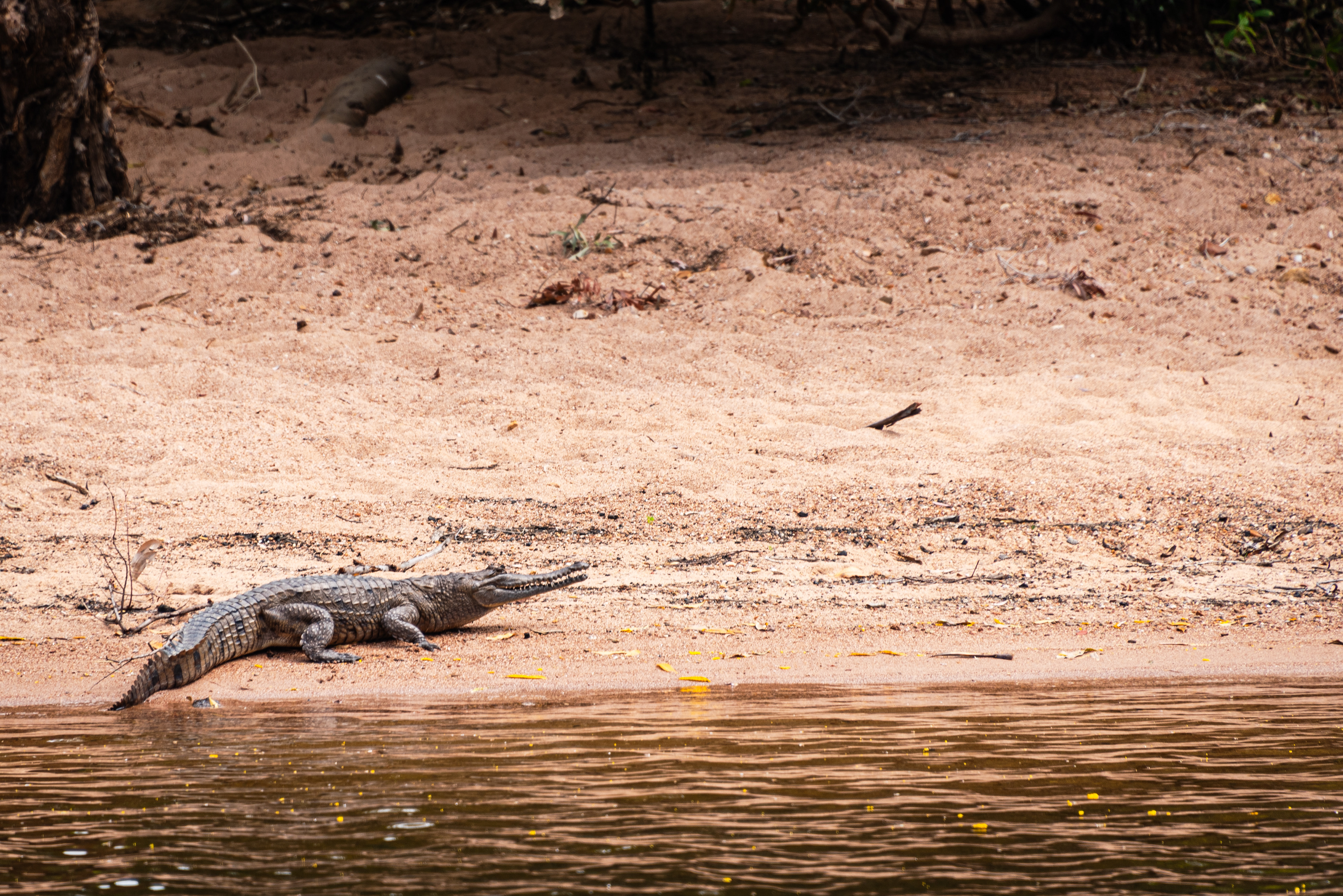 Nitmiluk National Park