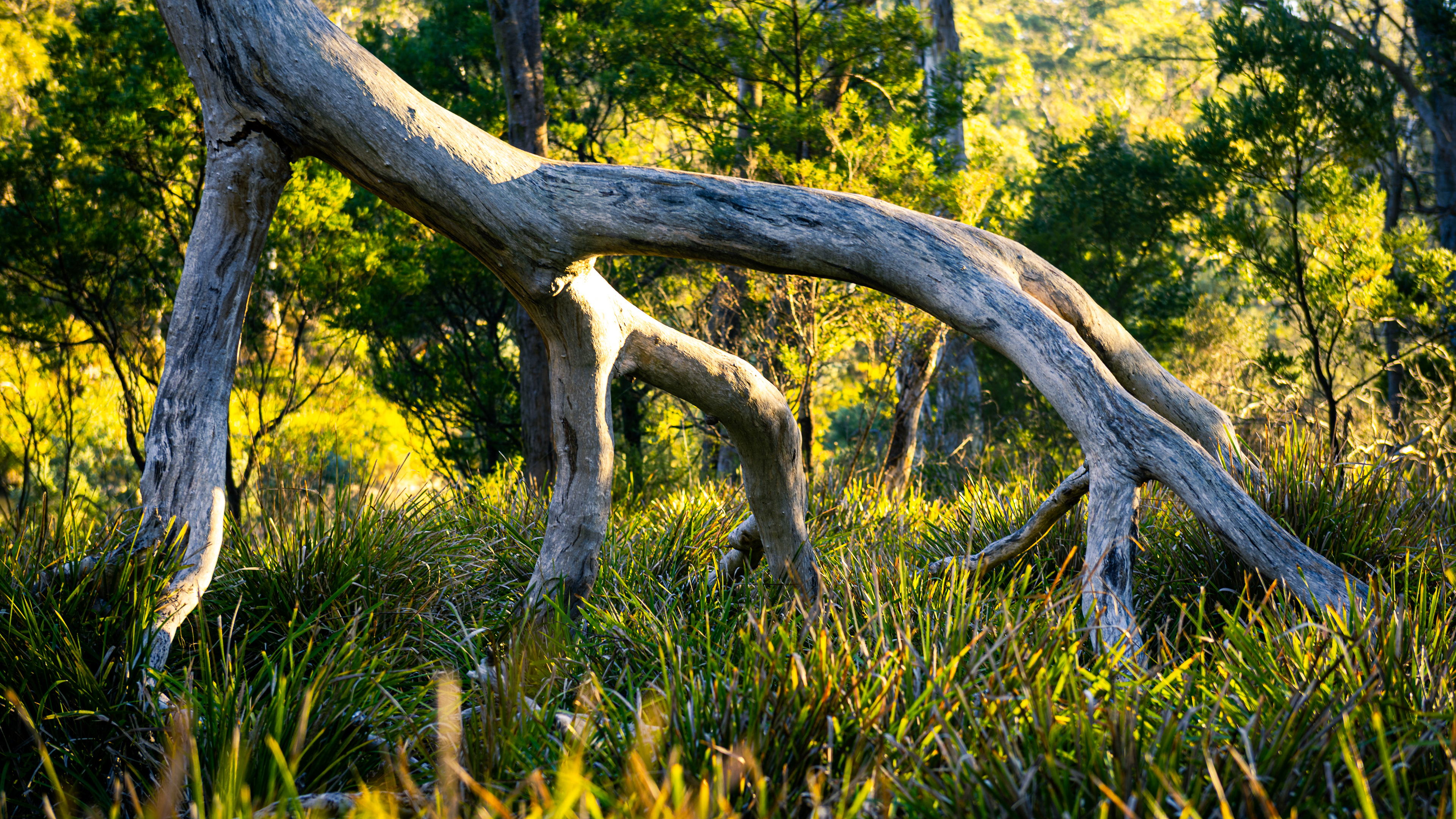 Berrima River Walk