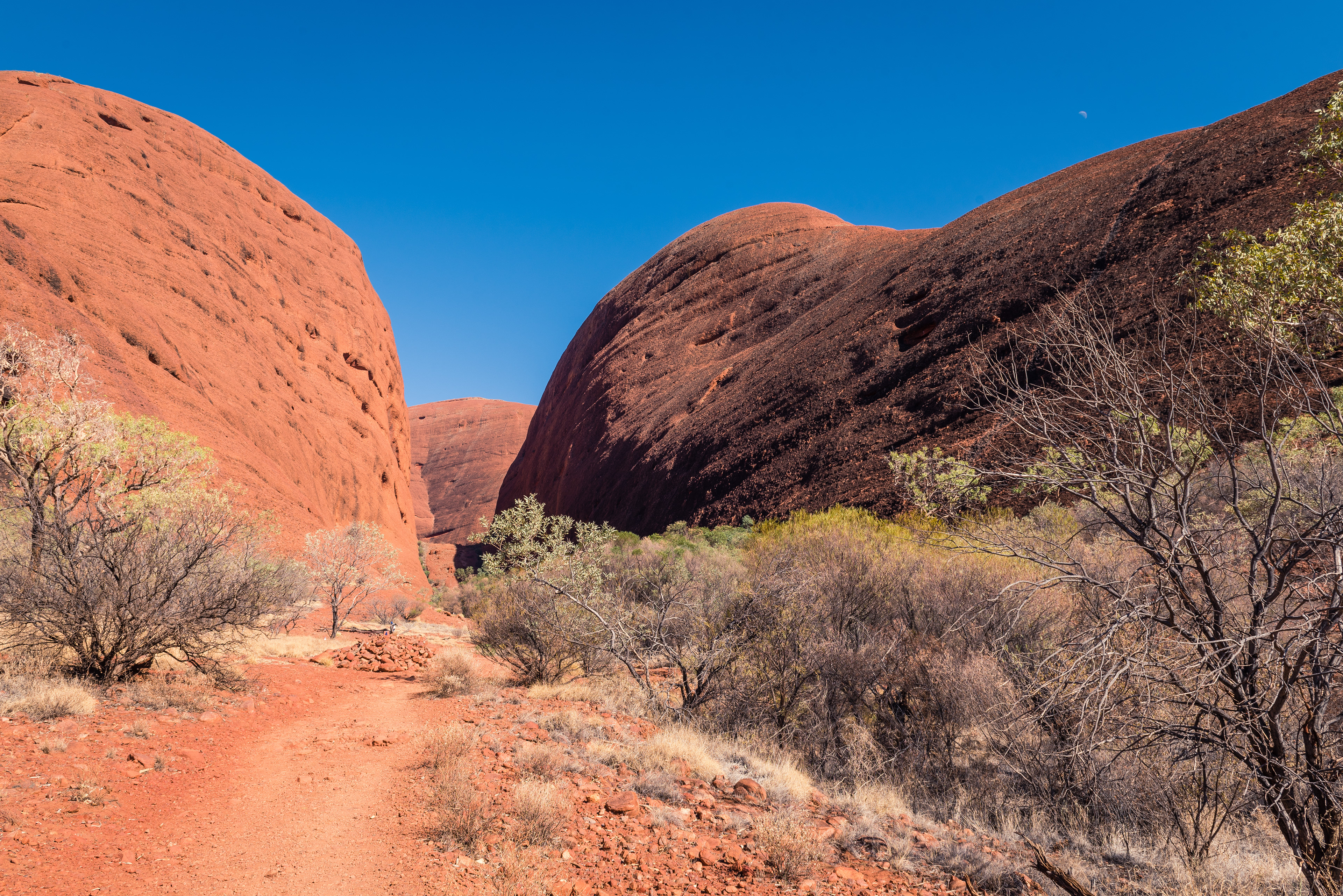 Kata Tjuta
