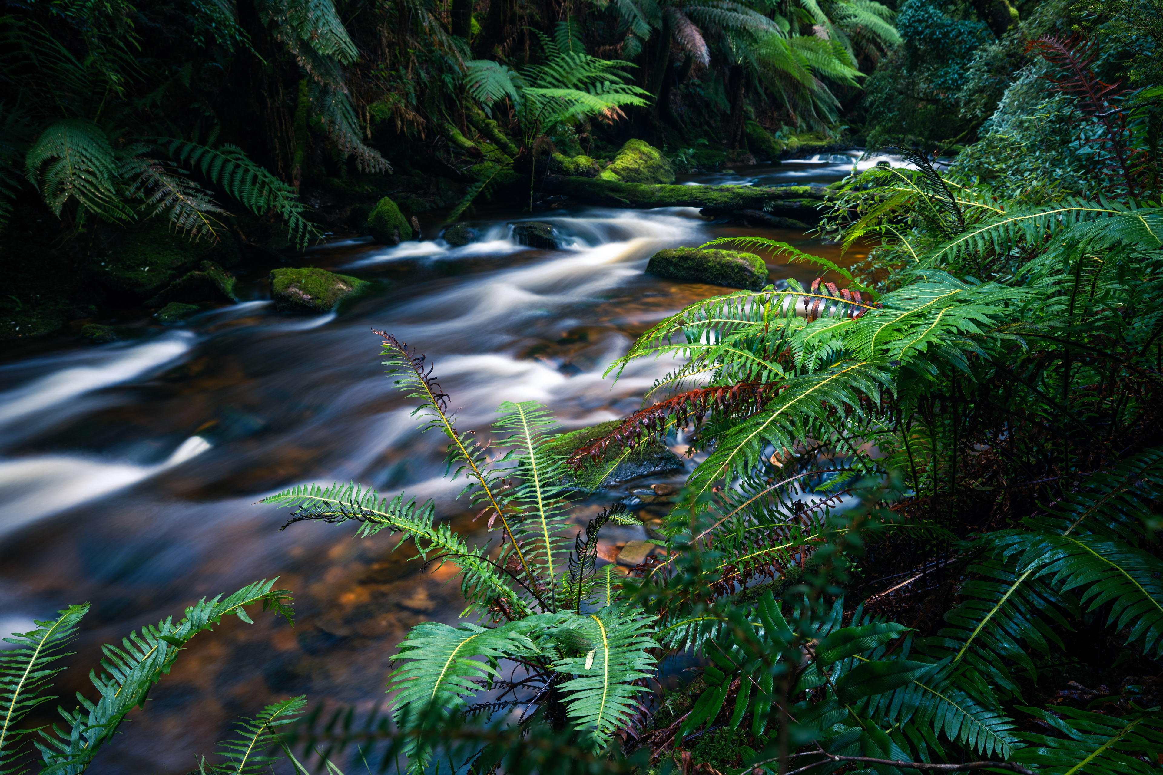 Nelson Falls