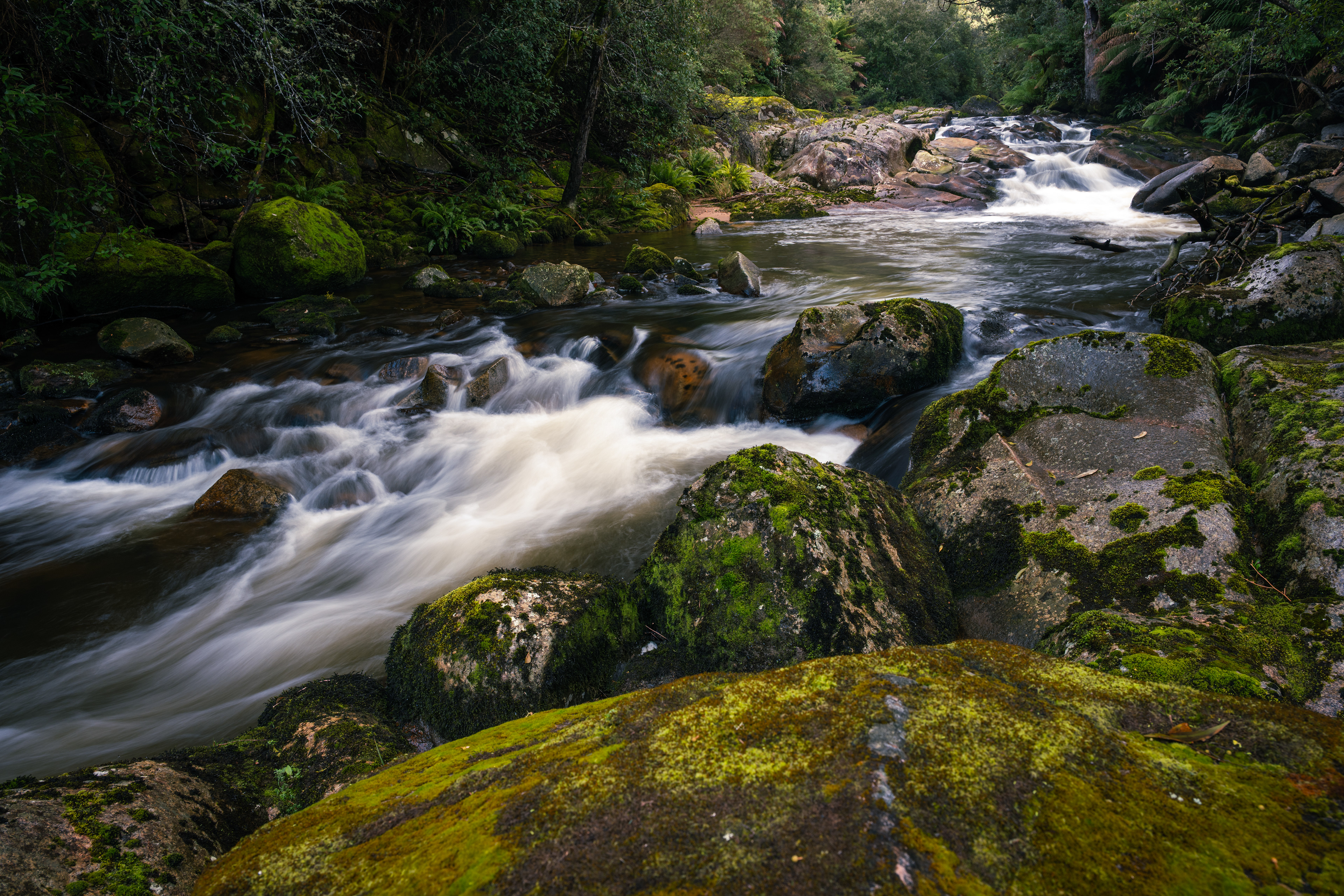 Near St Columba Falls