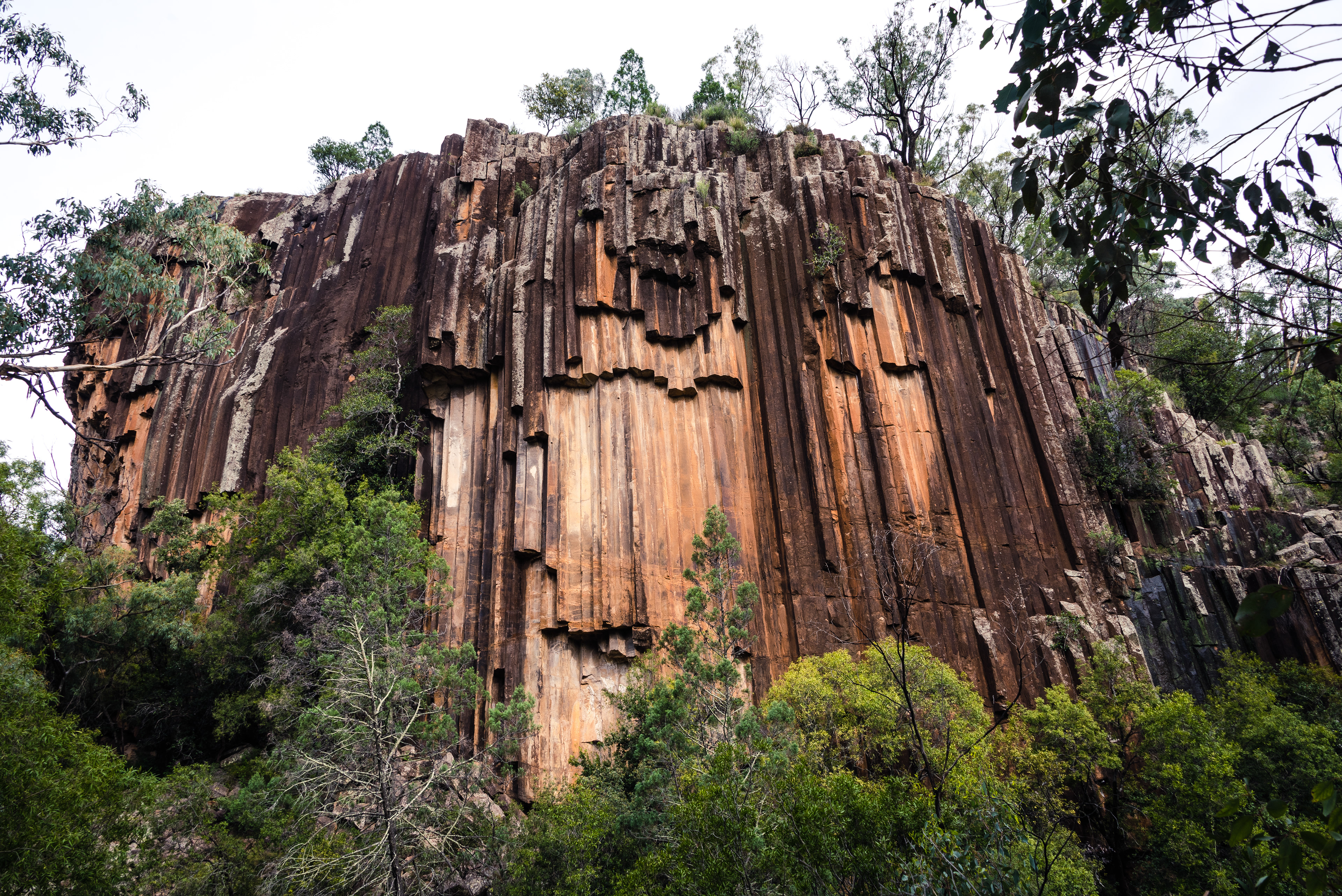 Sawn Rocks, Narrabri