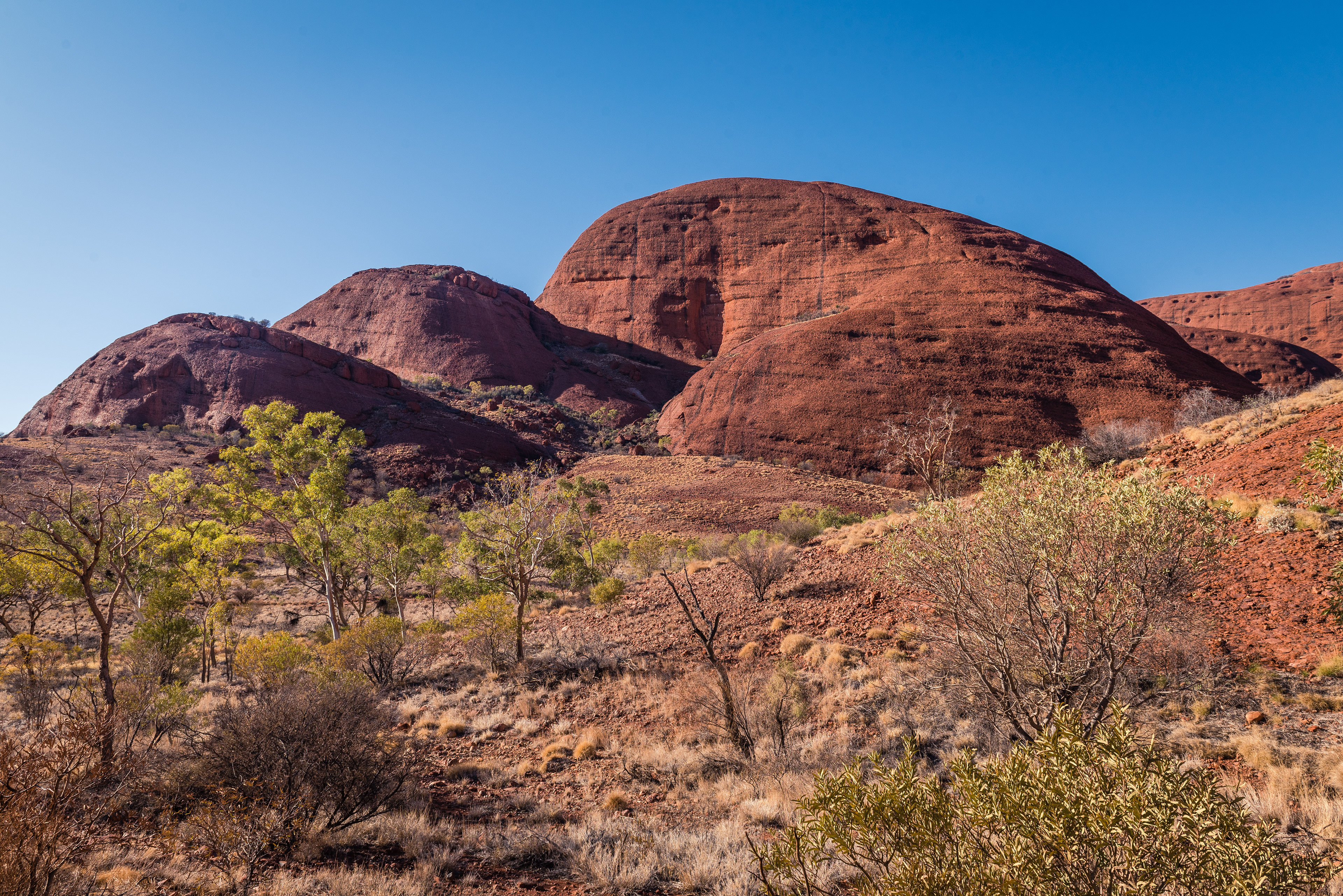 Kata Tjuta