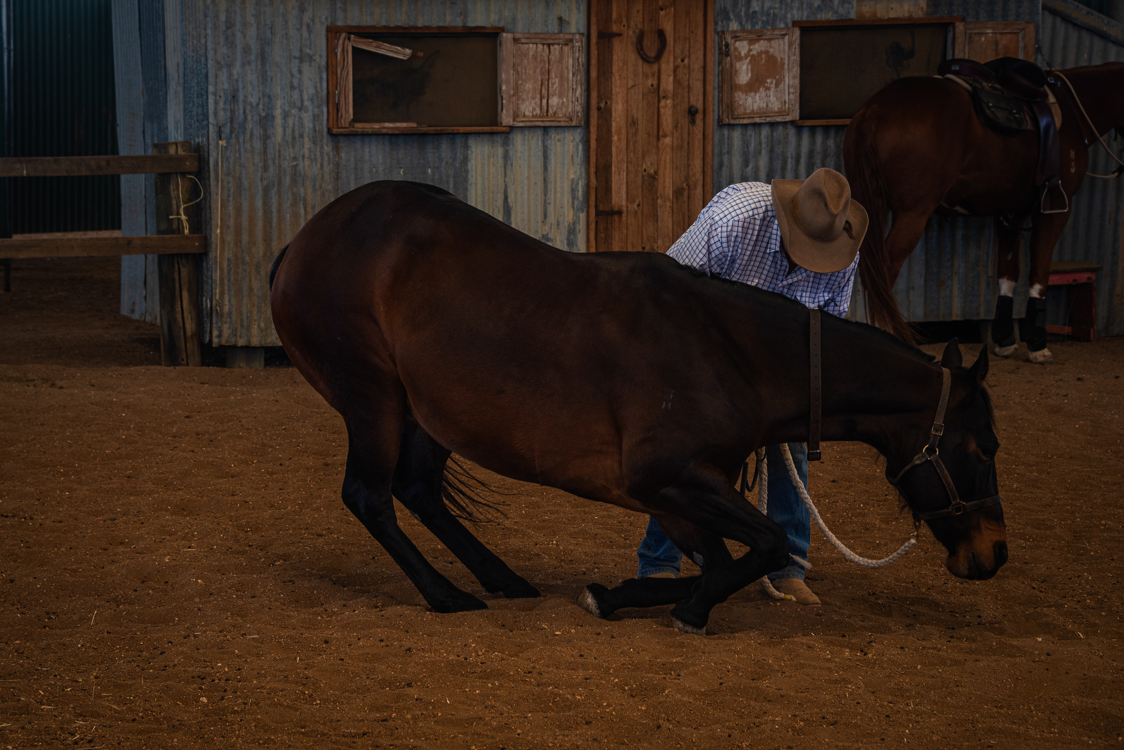 Stockmans Hall of Fame, Longreach