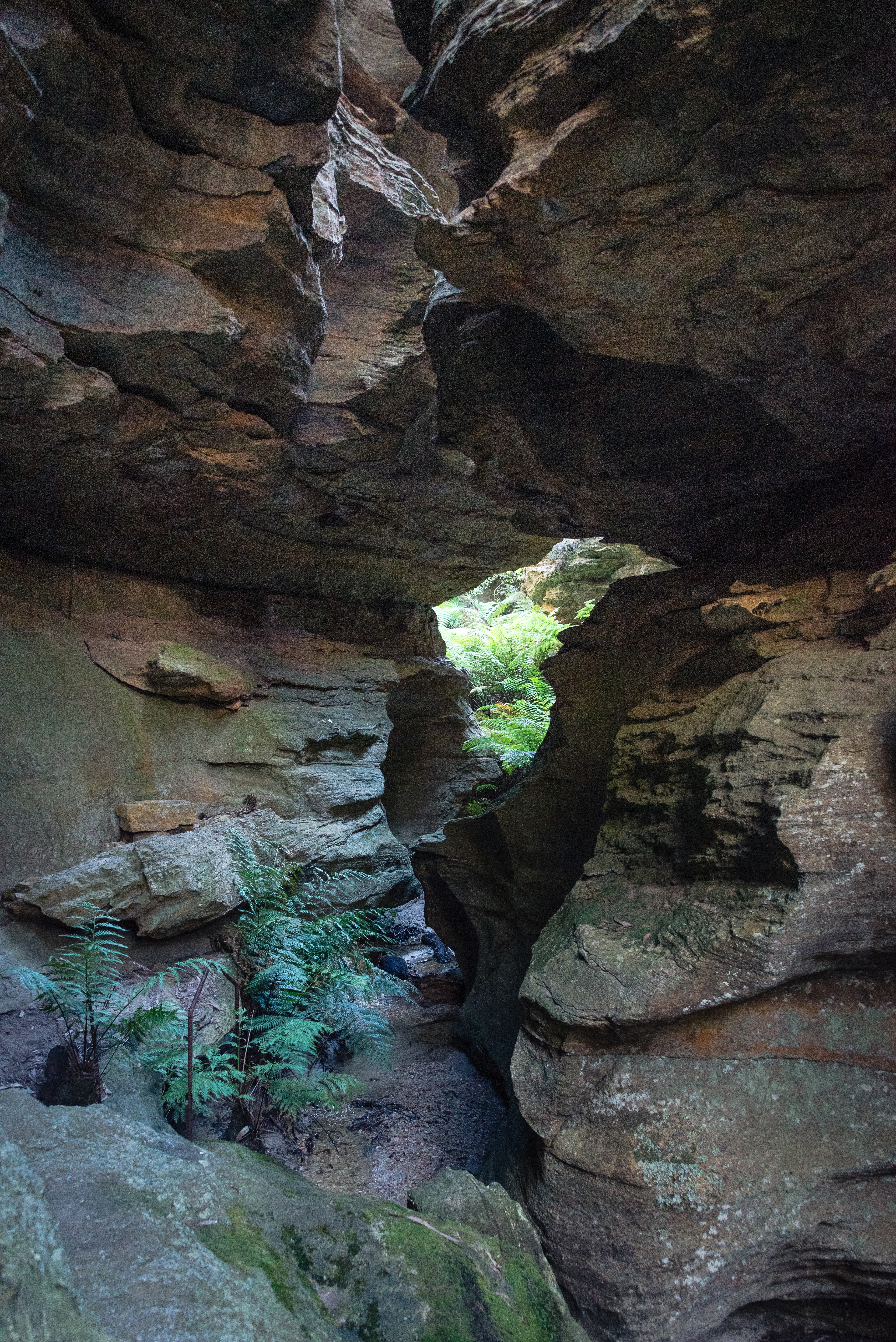 Mugii Murum-Ban, Capertee