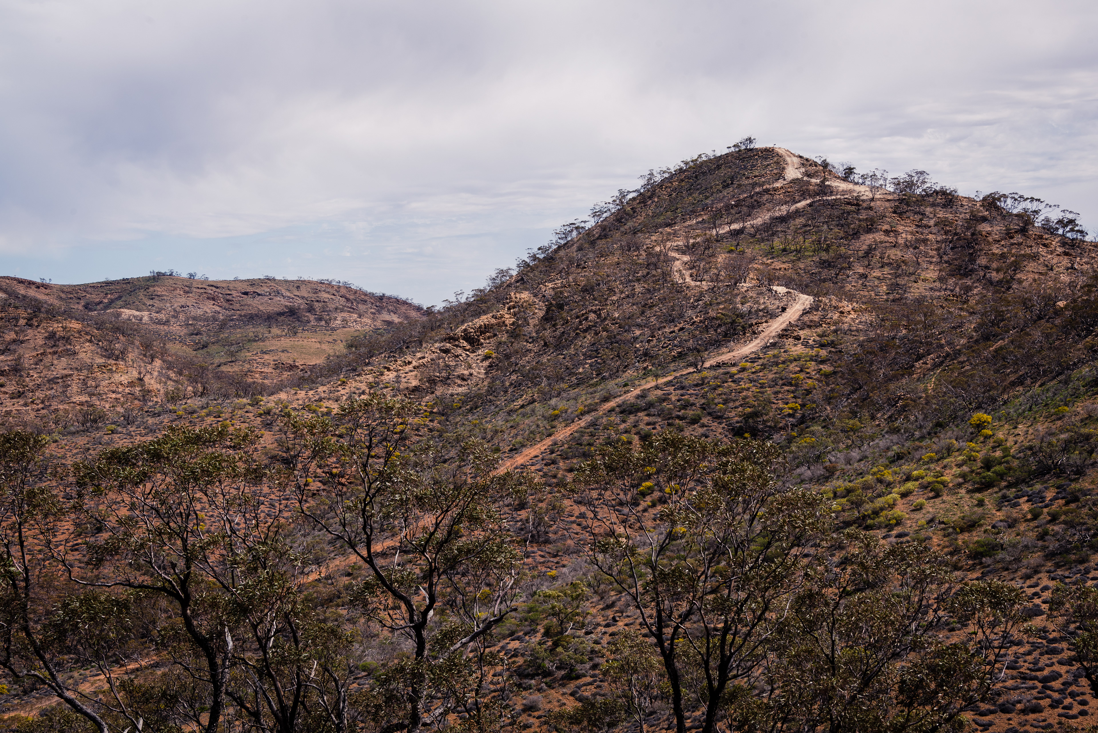 Bendleby Ranges